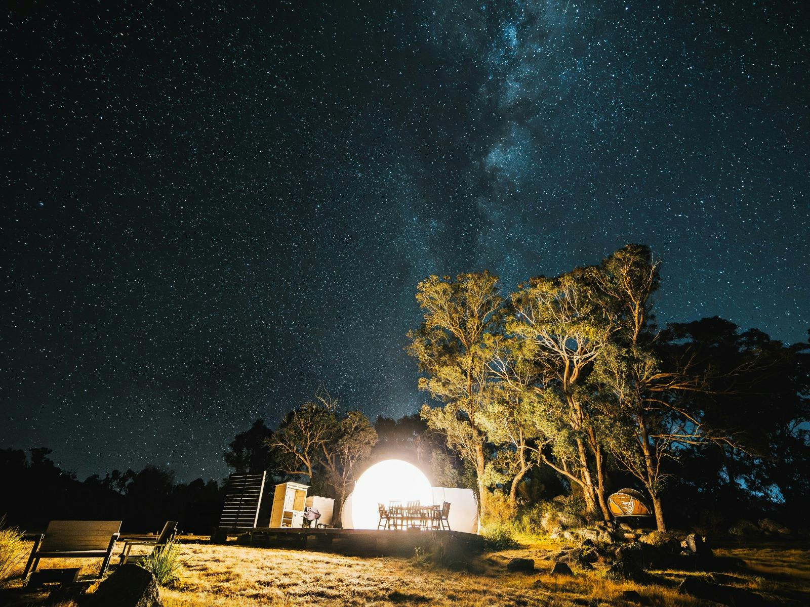 A Bubbletent for adults and hanging Tiny Bubble Tent in a tree lit up under a starry sky