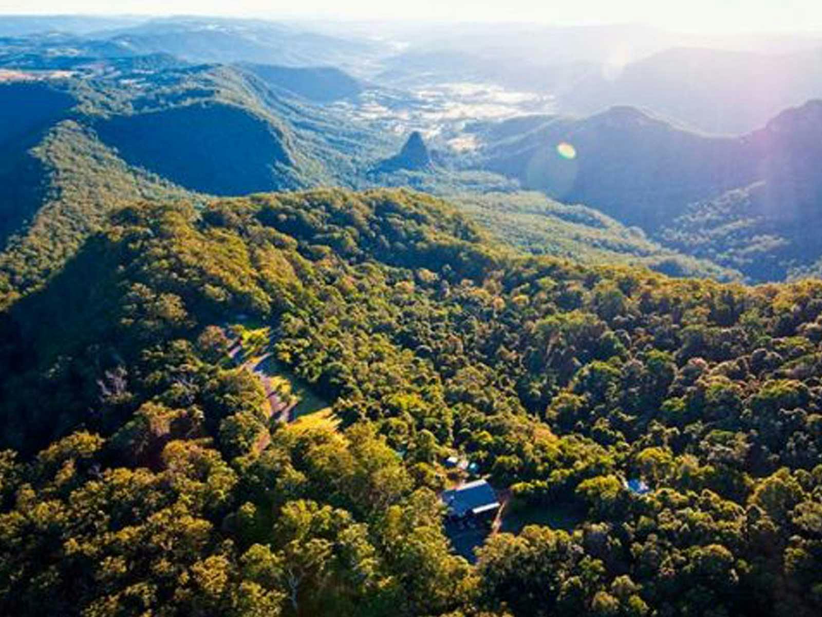 Gold Coast Hinterland Explorer Day Pass