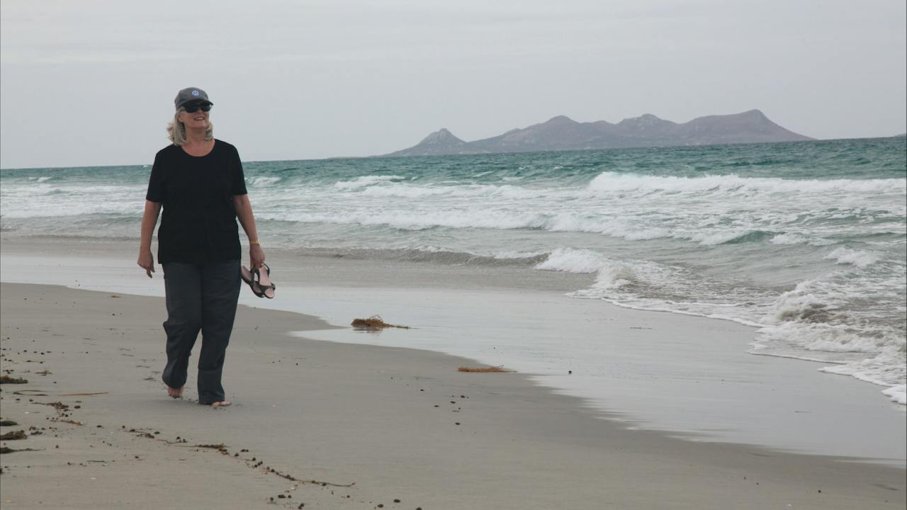 Walking the east coast beaches from Camerons Inlet