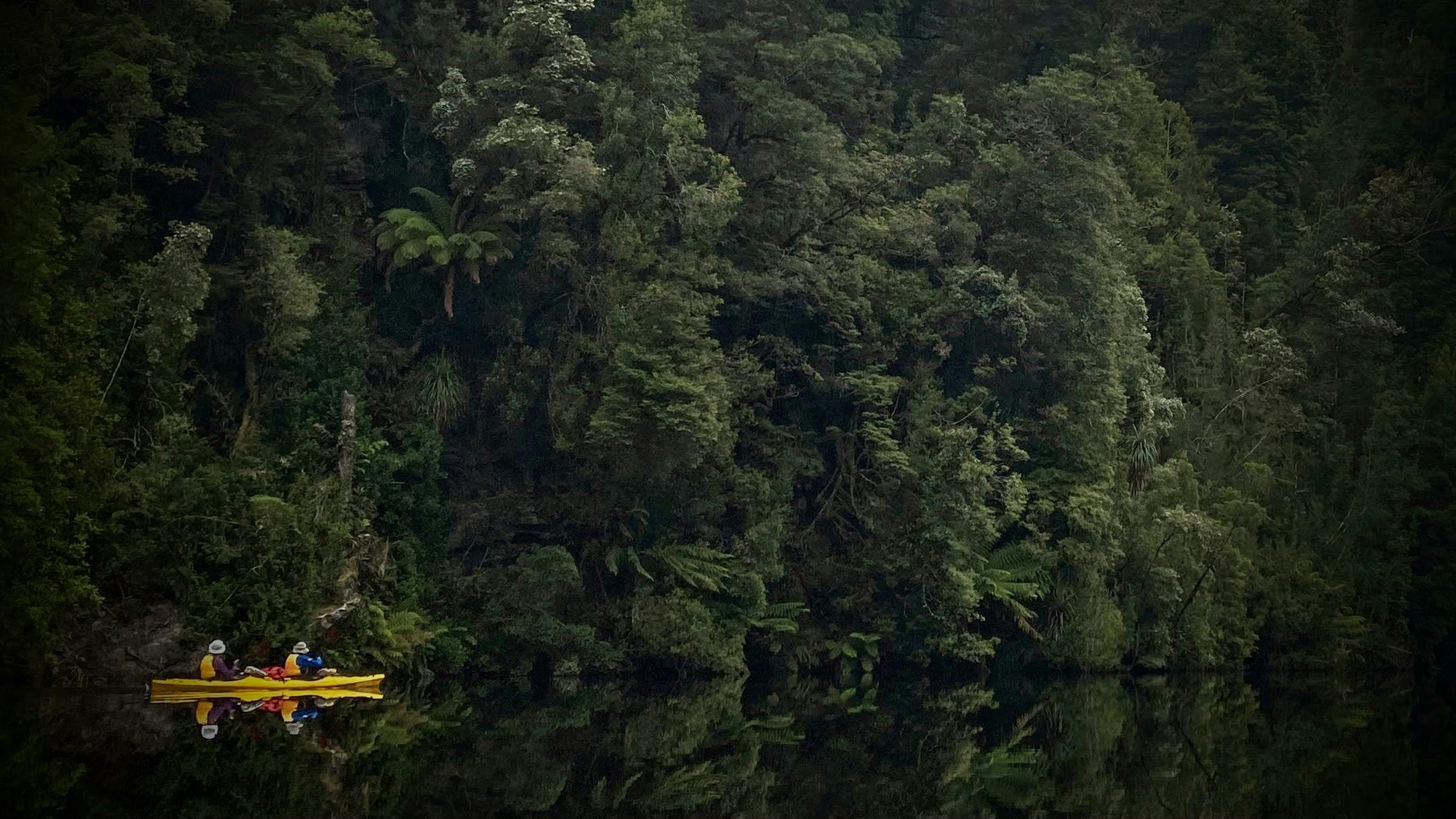 Gordon River Reflections