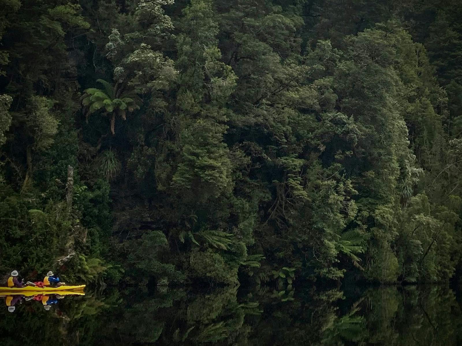 Gordon River Reflections