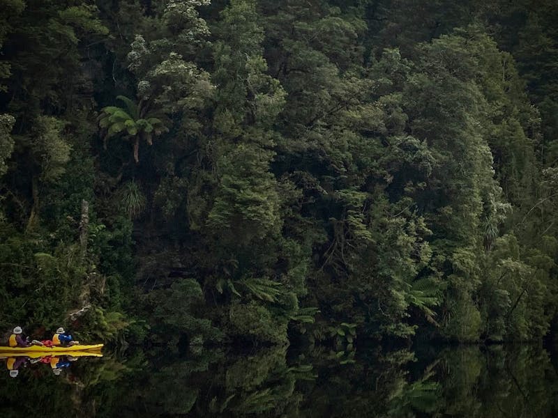 Gordon River Reflections