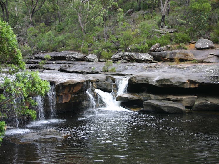 Georges River Nature Reserve Campbelltown Sydney Com