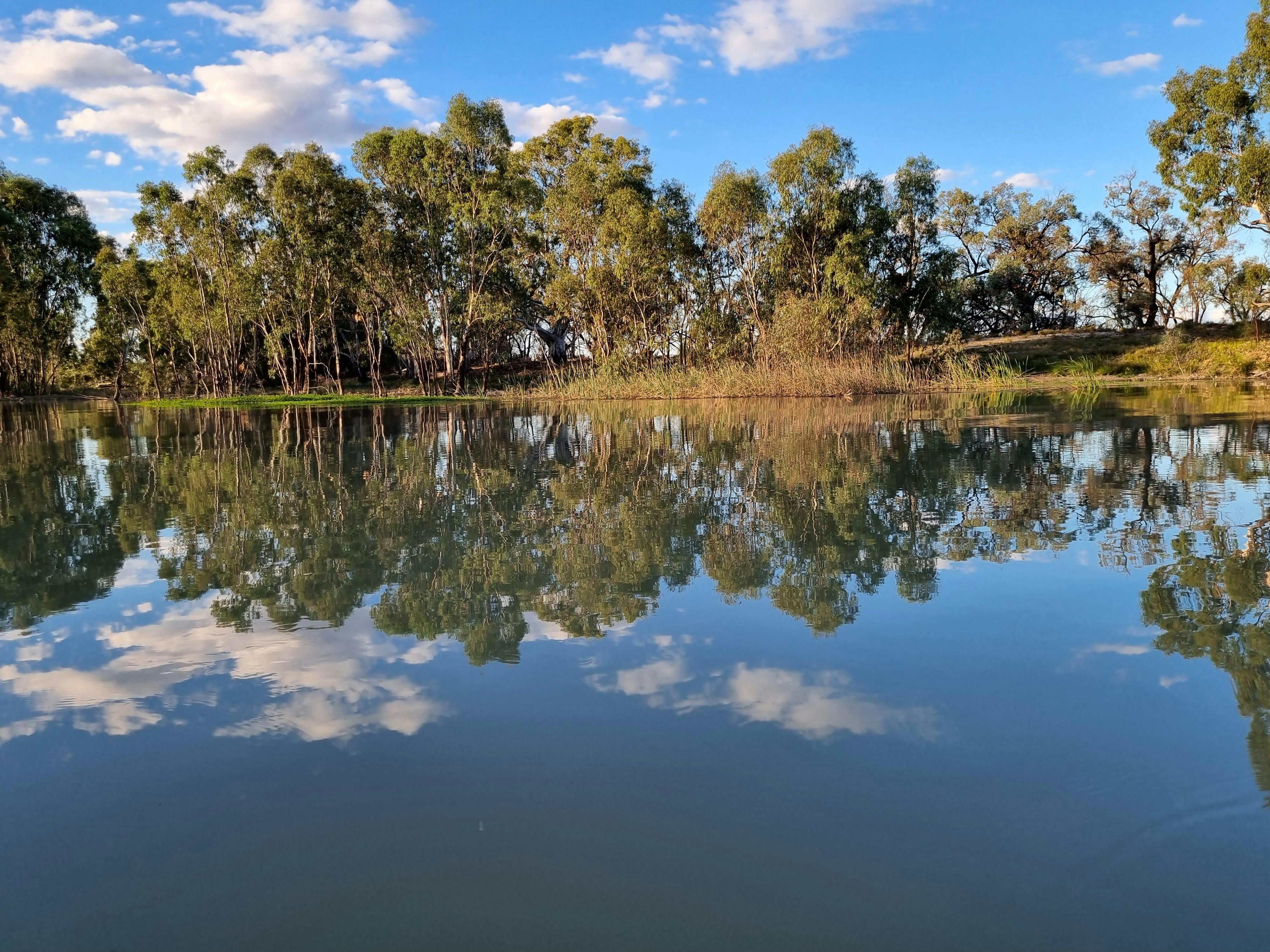 Reflections of Gum trees and clouds on water near Overland Corner