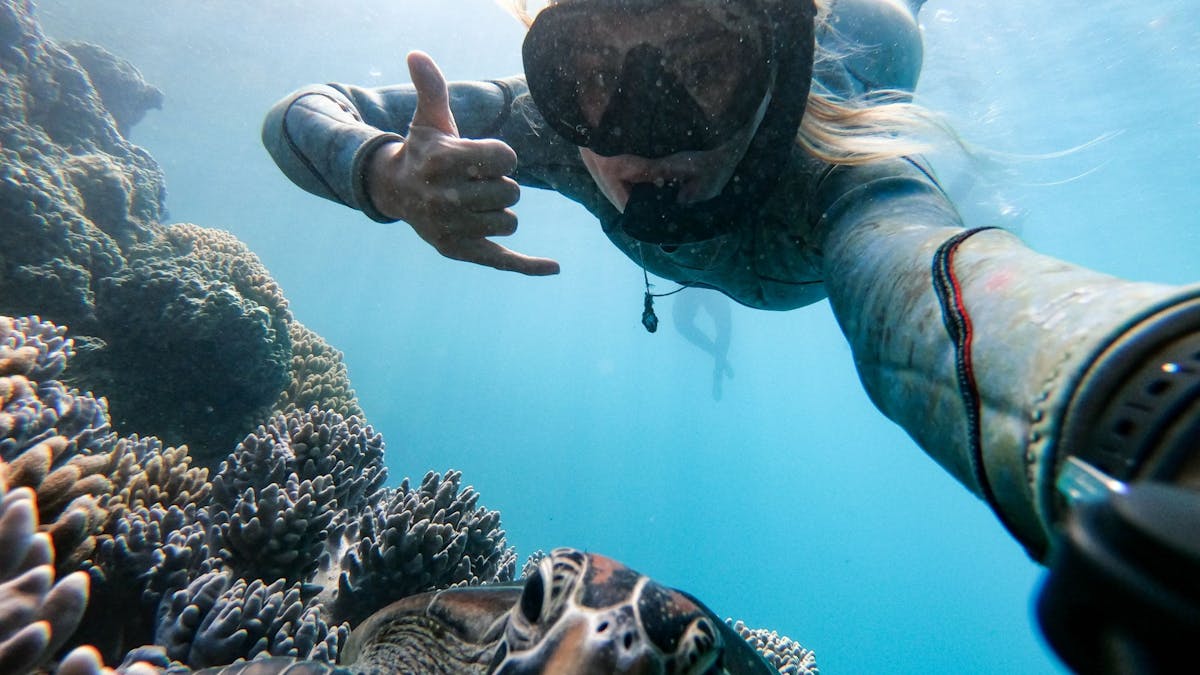 Snorkelling Prosail Whitsundays