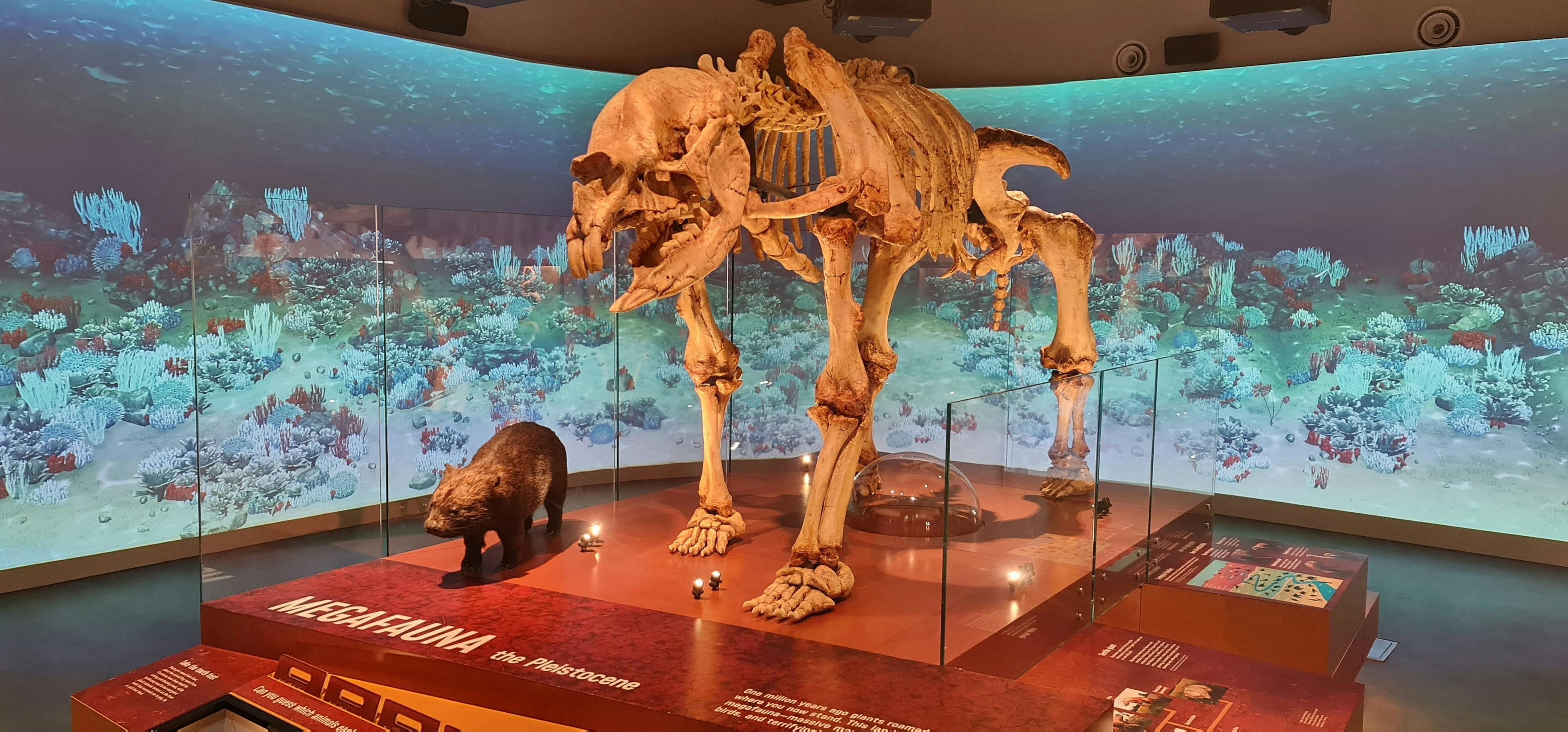 Wellington Caves