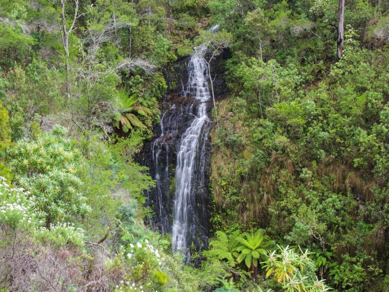 Gray Mares Tail Falls