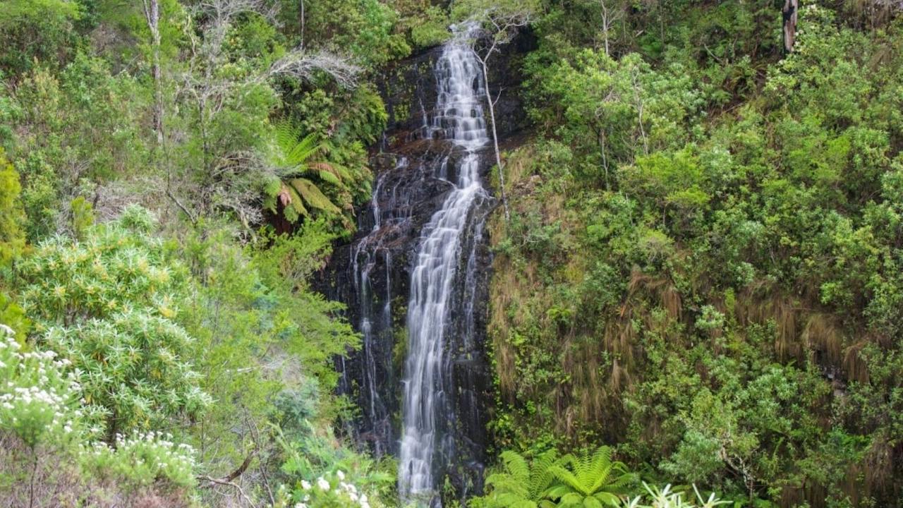 Gray Mares Tail Falls