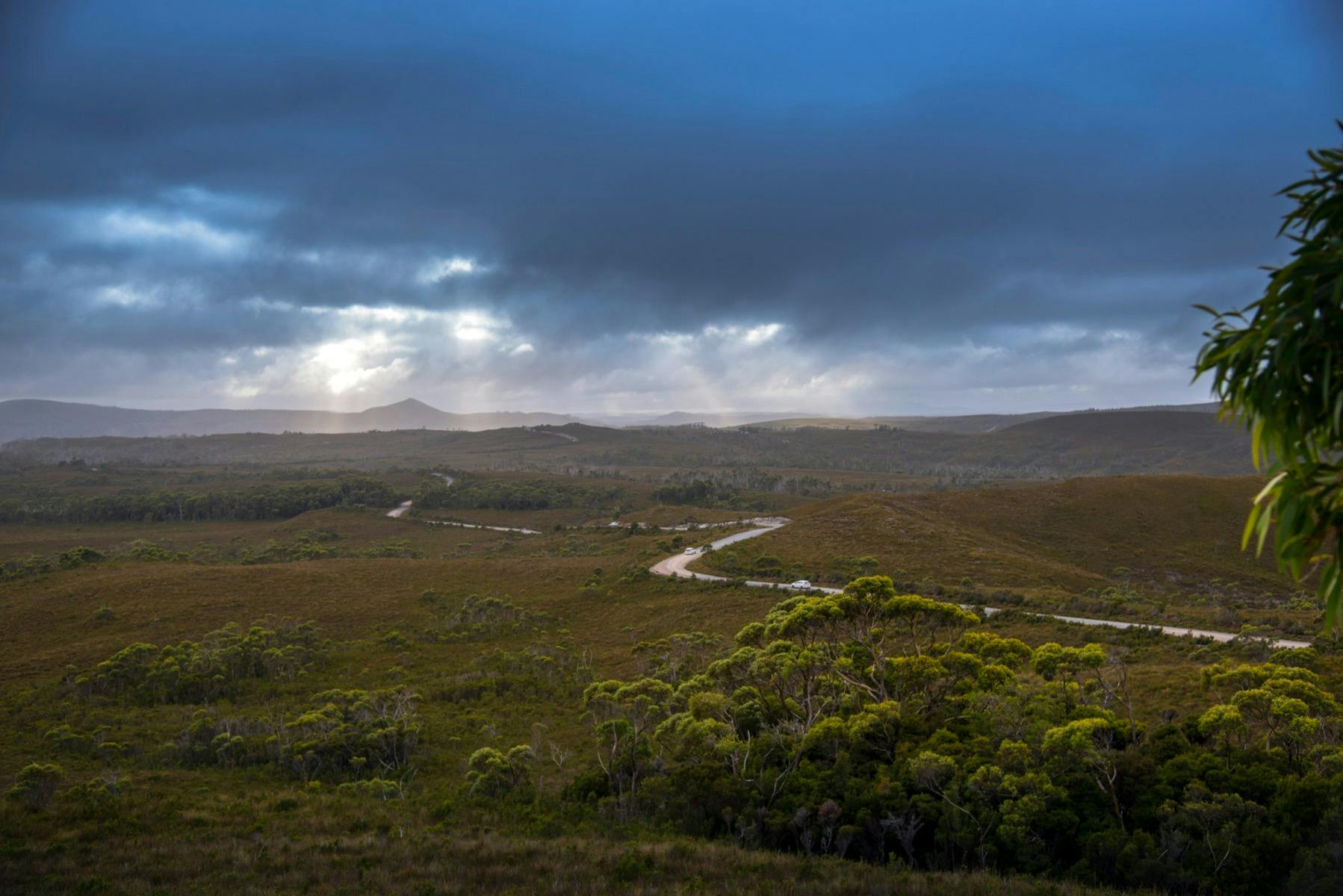 Enjoy the iconic Tarkine wilderness on your Lap of Tasmania road trip