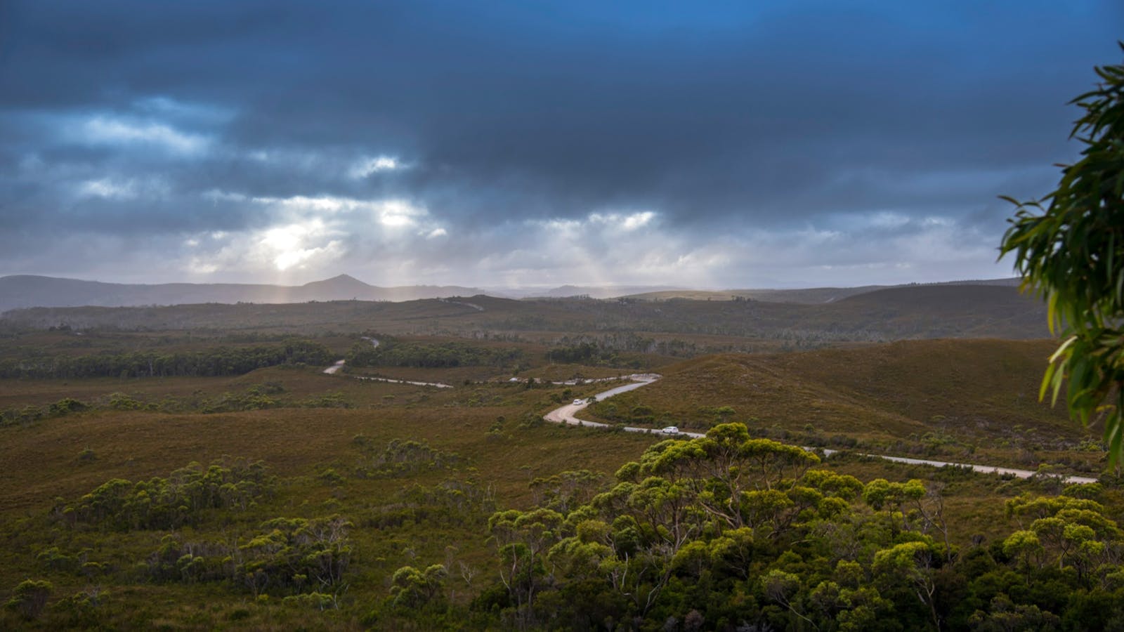 Enjoy the iconic Tarkine wilderness on your Lap of Tasmania road trip