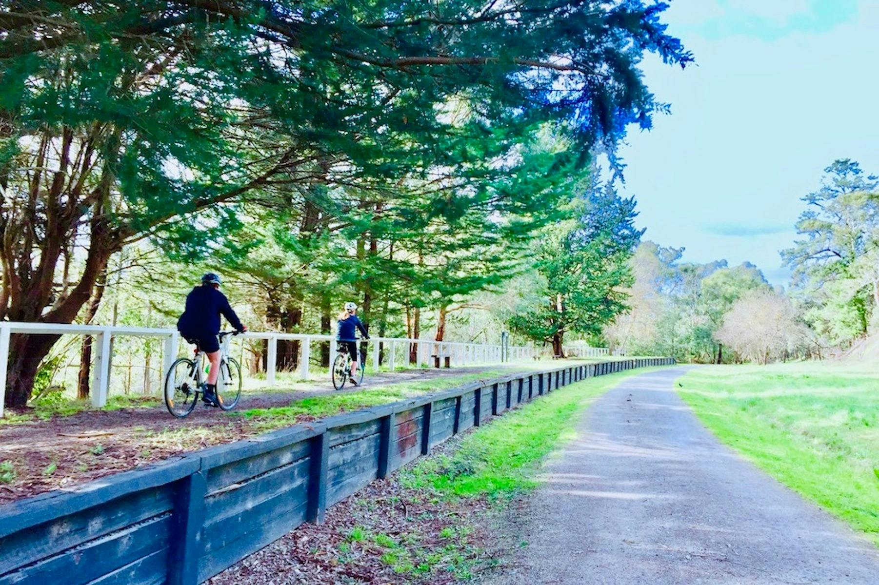 cycling on the warburton rail trail