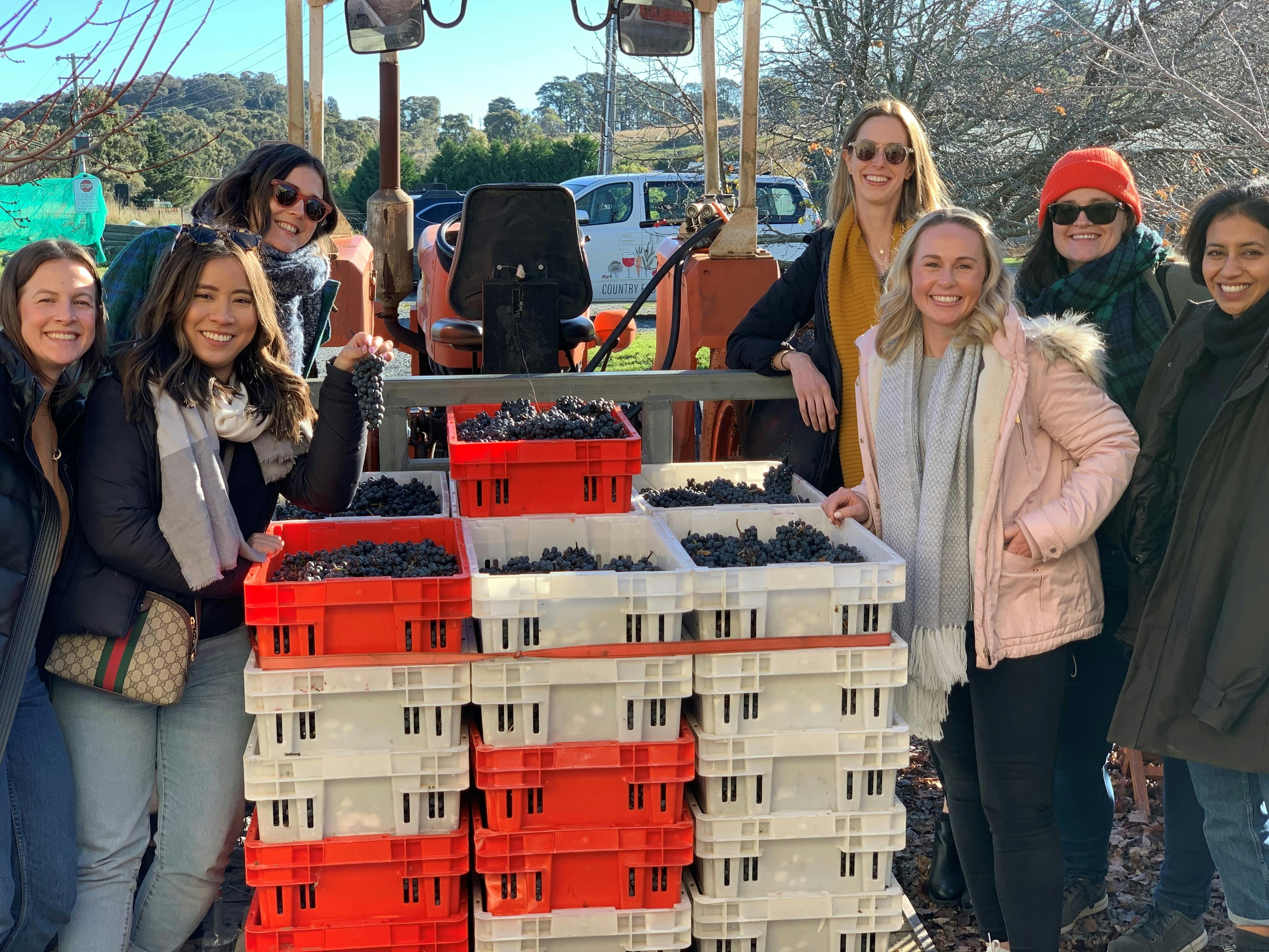 7 ladies standing around tractor with grapes