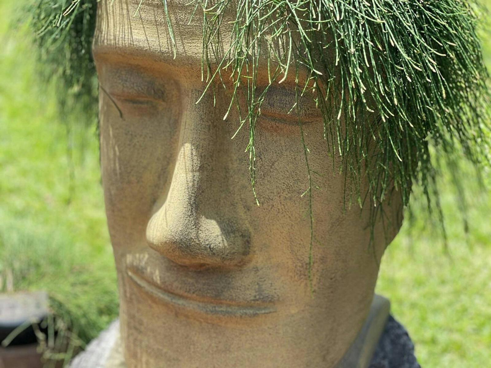 Planters in all shapes and sizes!