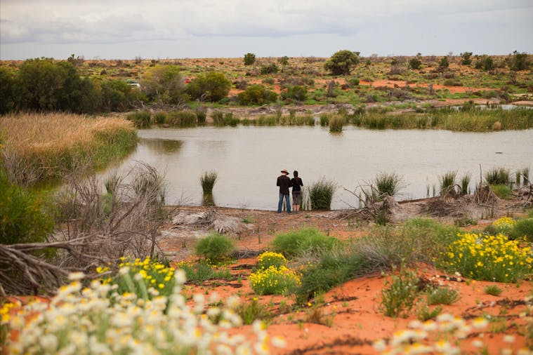 Witjira National Park