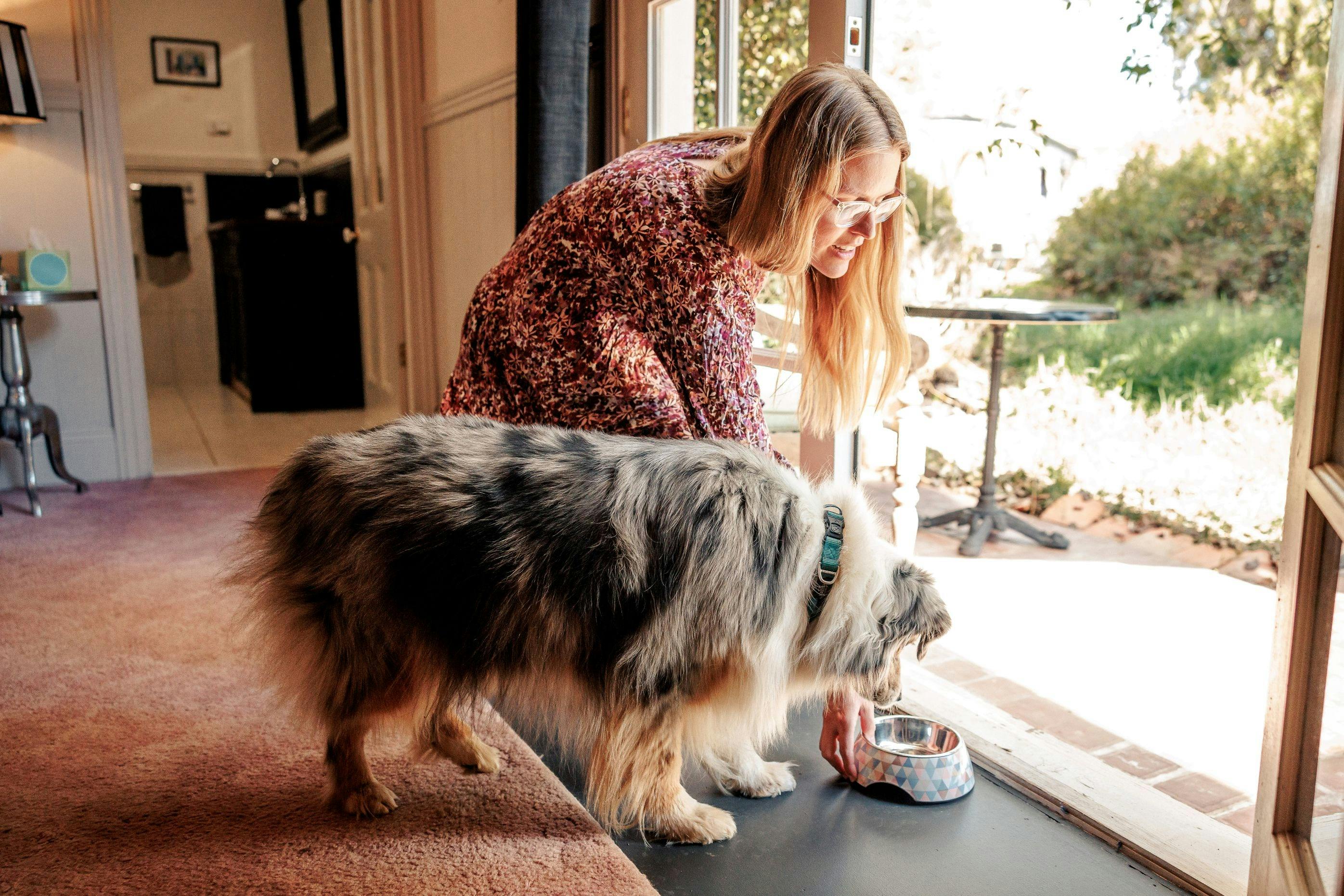 Dog friendly accommodation with garden access