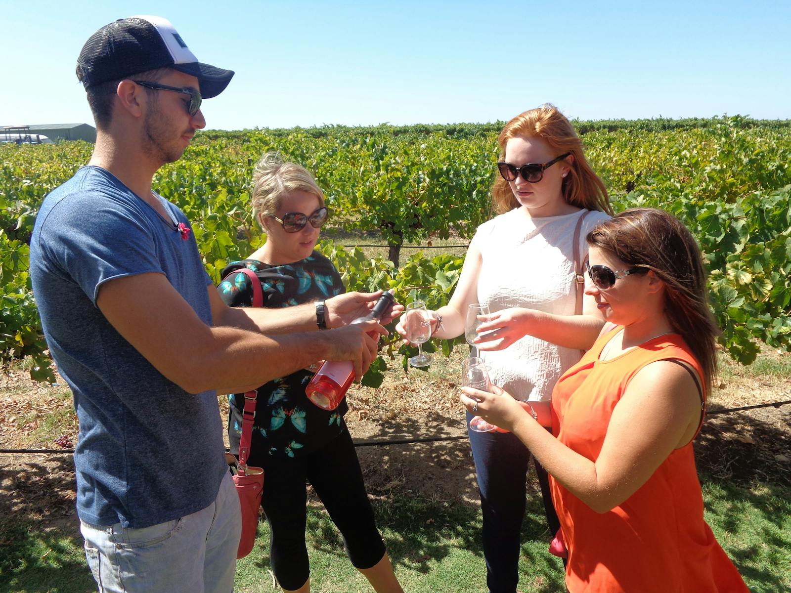 Swan Valley Tours