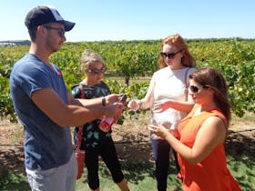 Swan Valley Tours