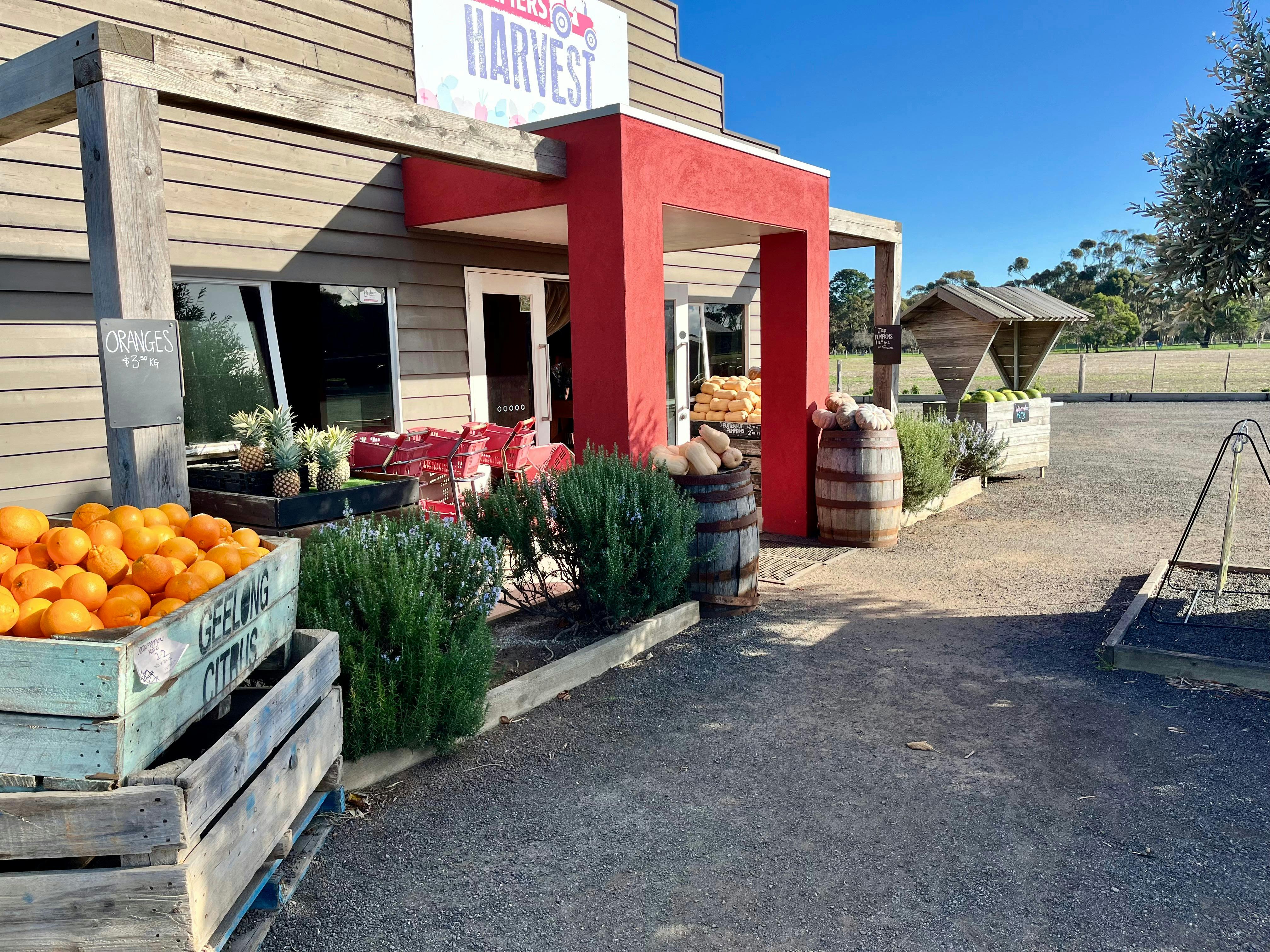 Mystery Picnic Bellarine Peninsula