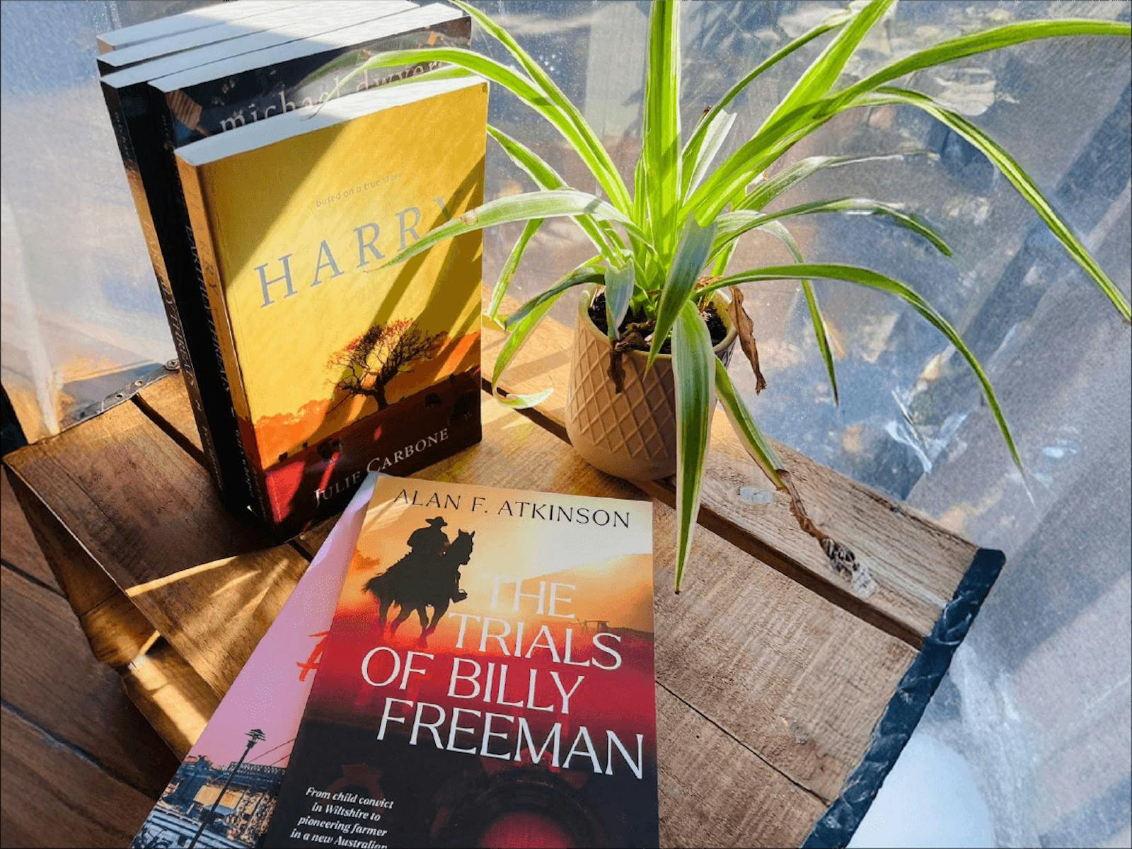 Adelaide indie author  Alan Atkinson's book cover