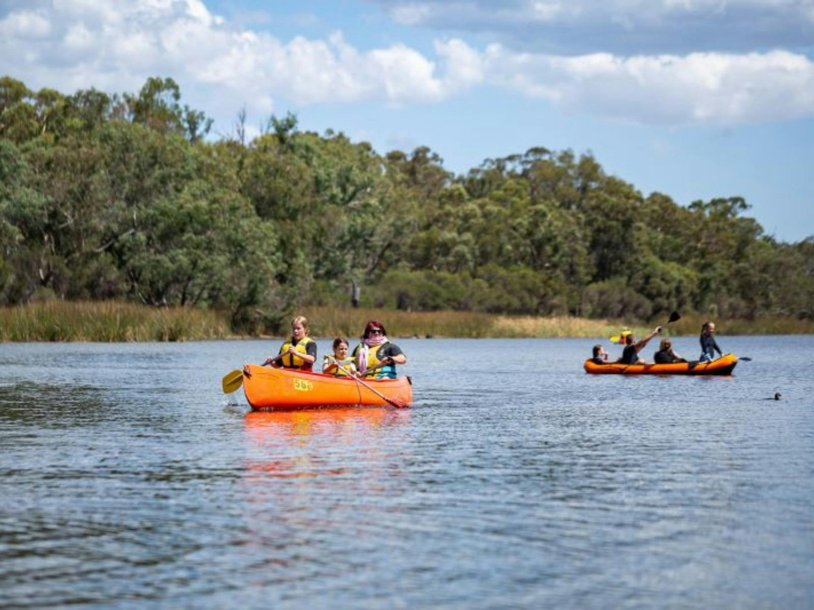 NDIS Accessible Adventure Program - Gold Coast Hinterland