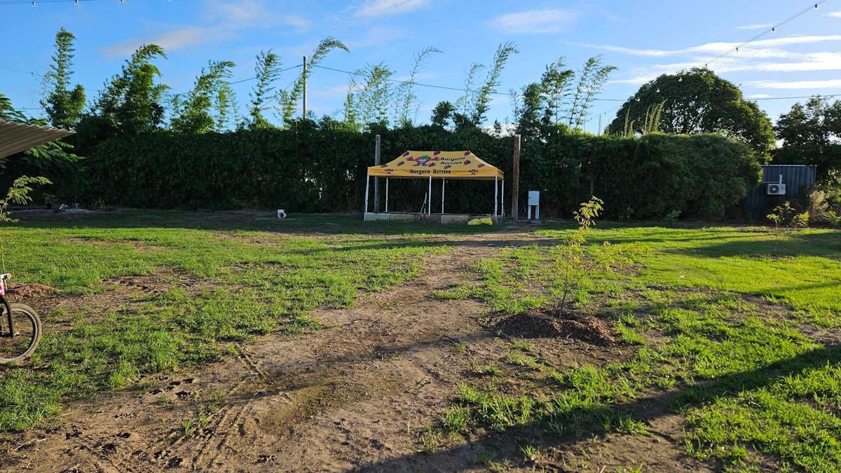 Where the events all take place