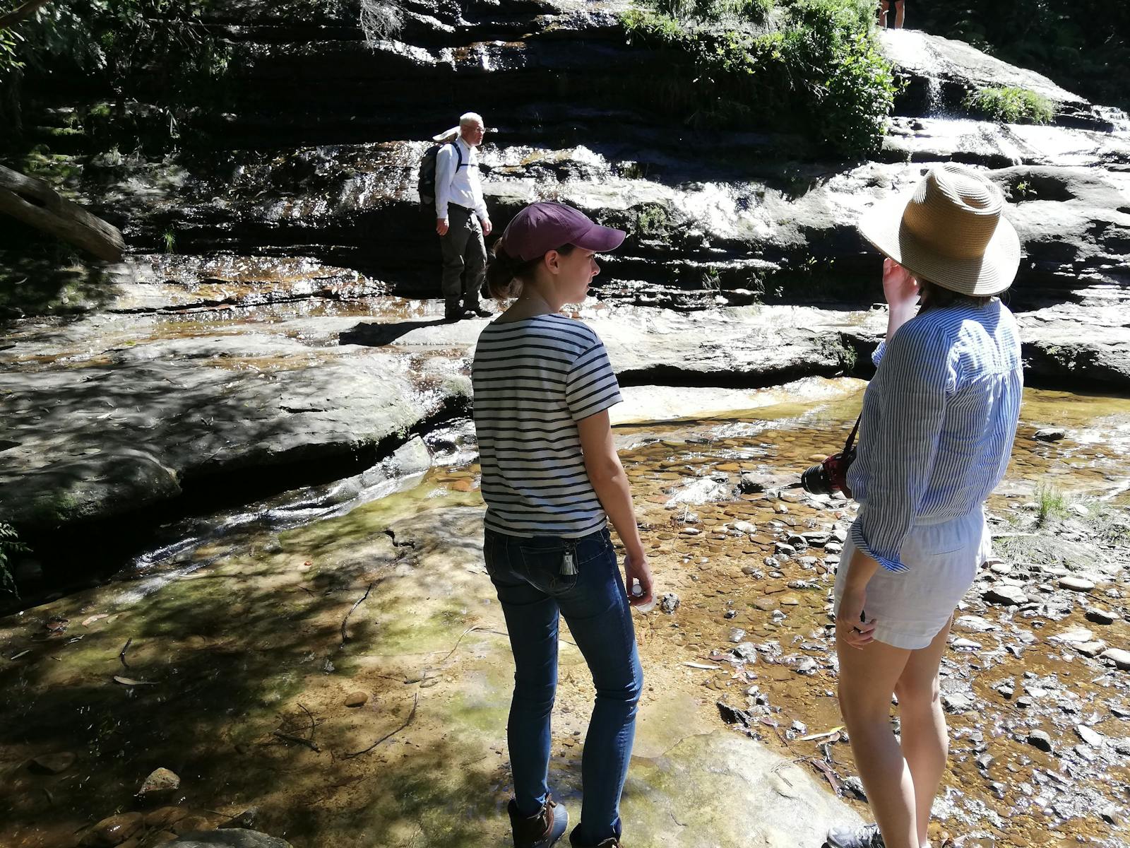Bluemountains