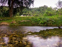 Bali Hai - View from the Creek