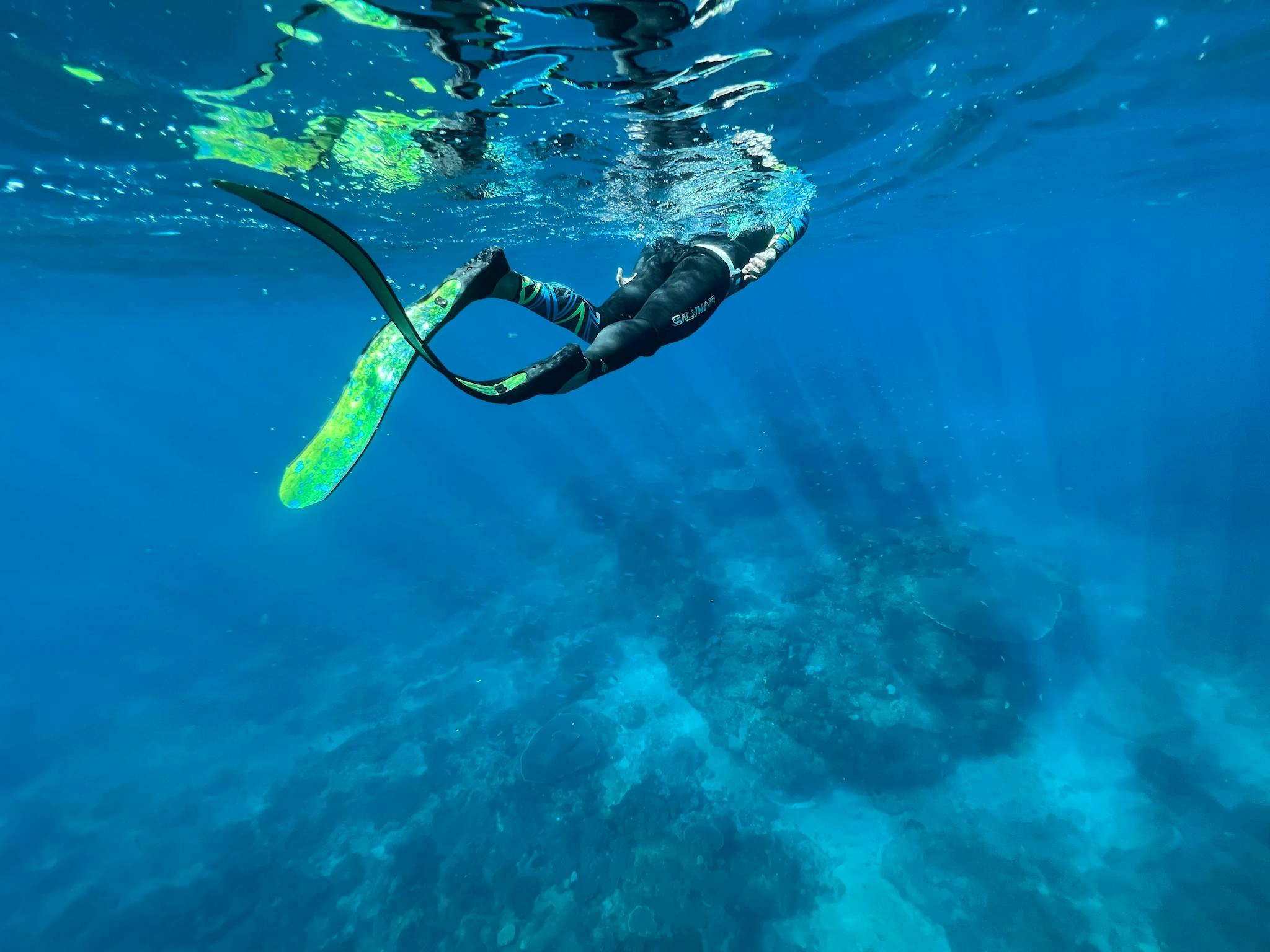 Male freediver exploring Flinders Reef at the surface Male freediver exploring Flinders Reef at the surface
