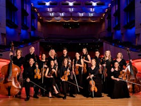 Camerata - QLD Chamber Orchestra