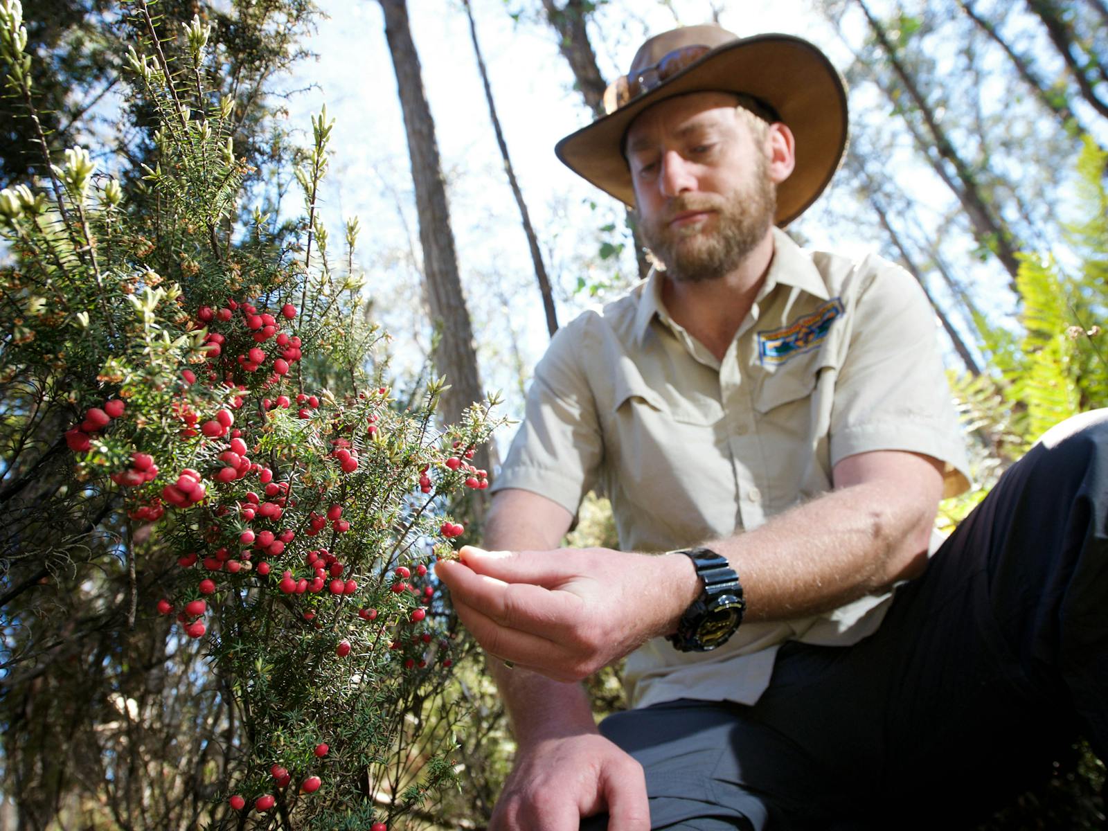 tour guide looking at forest fruit