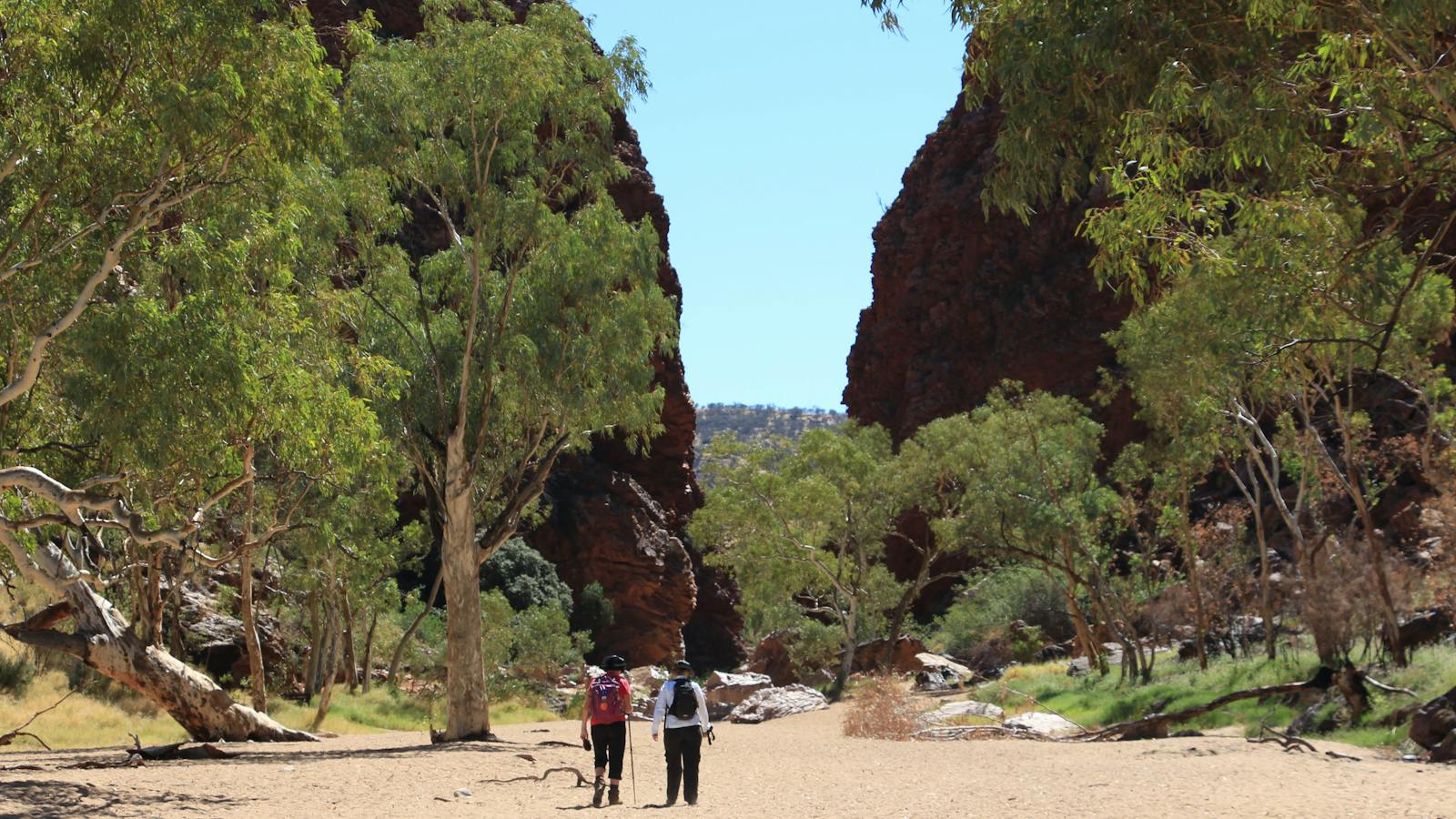 Larapinta Trail With Australian Walking Holidays / World Expeditons