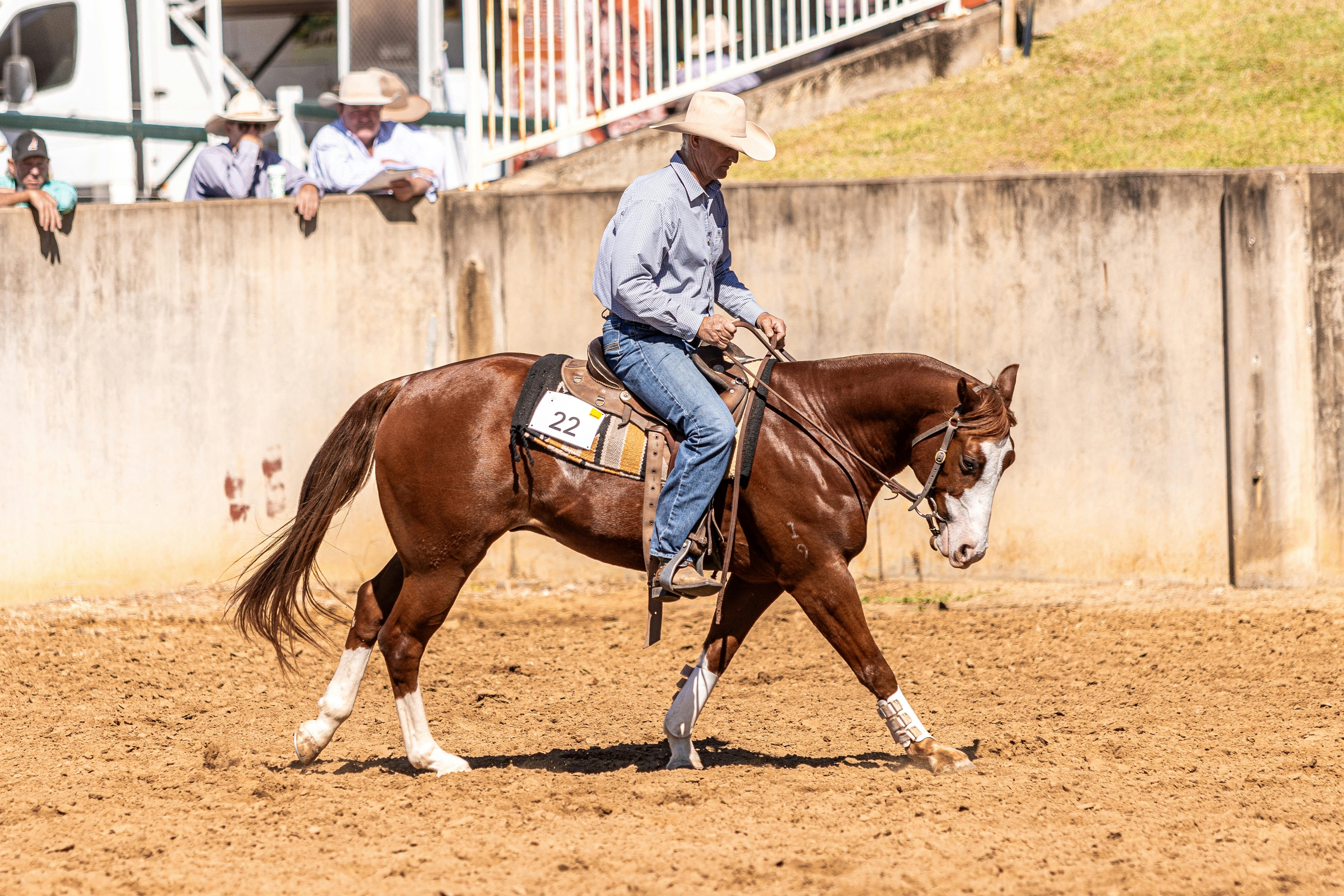 CQ Performance Horse Sale & Campdraft