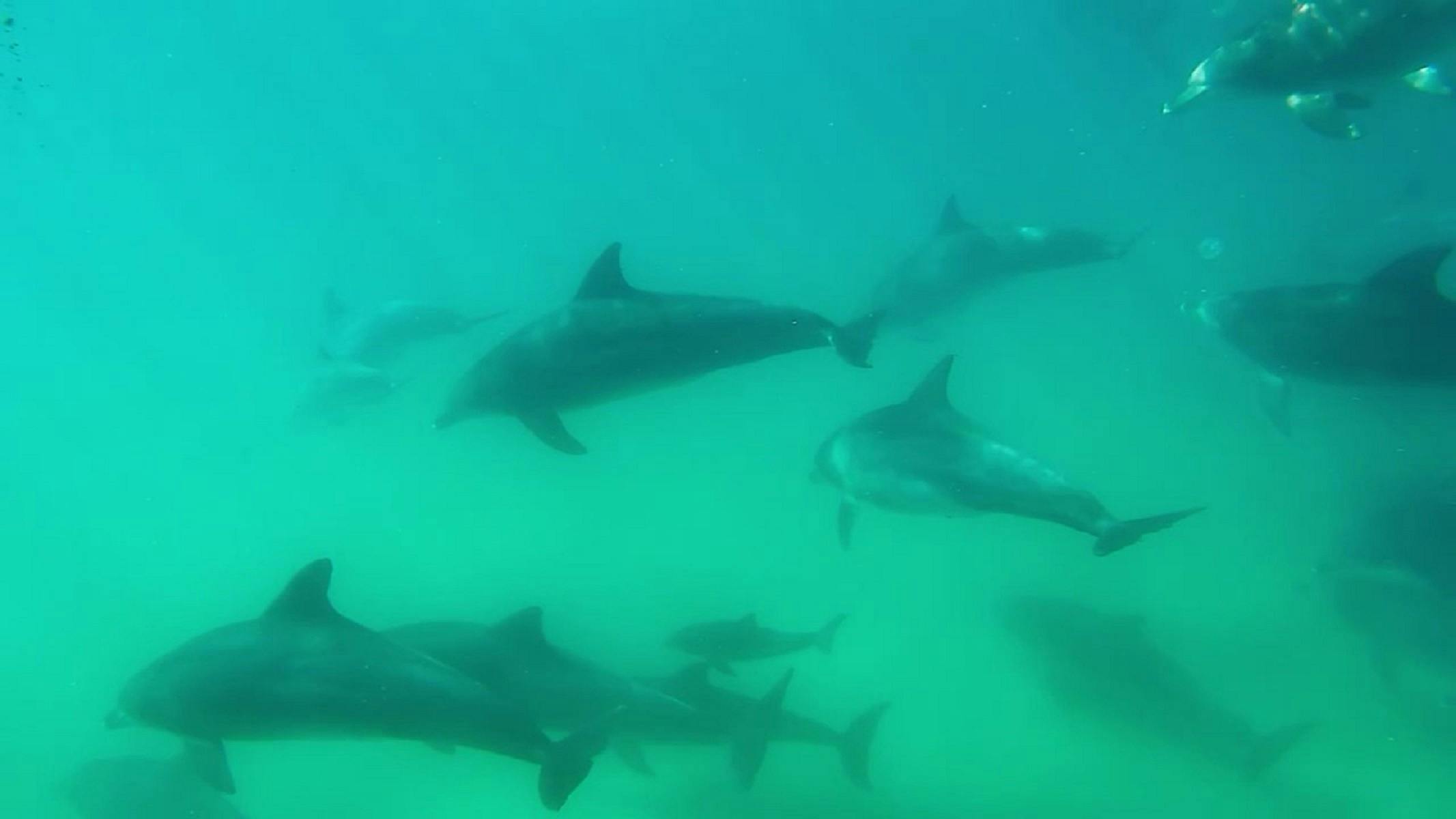 Jervis Bay Catamaran Sailing Charter