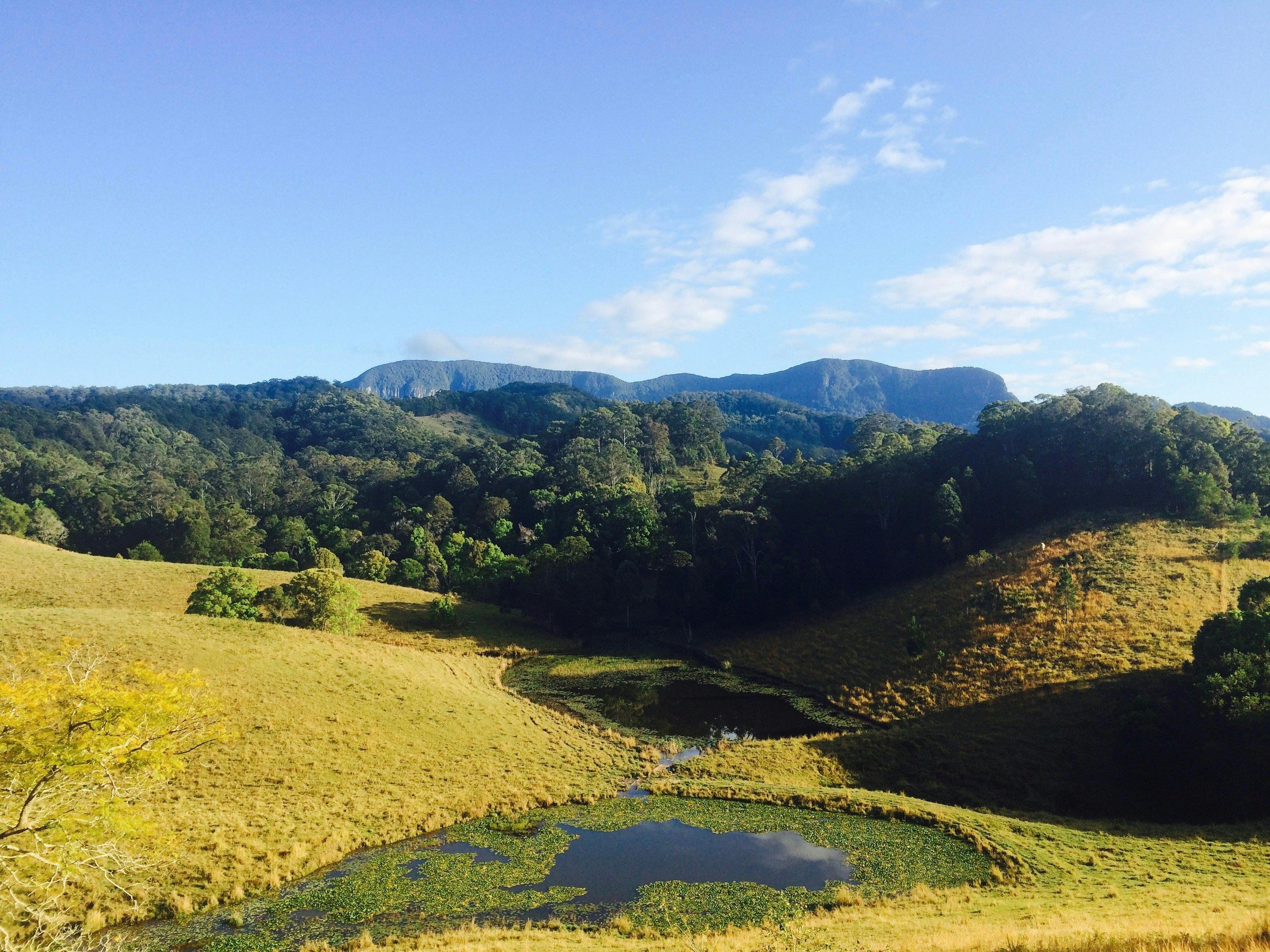 Springnrook National Park