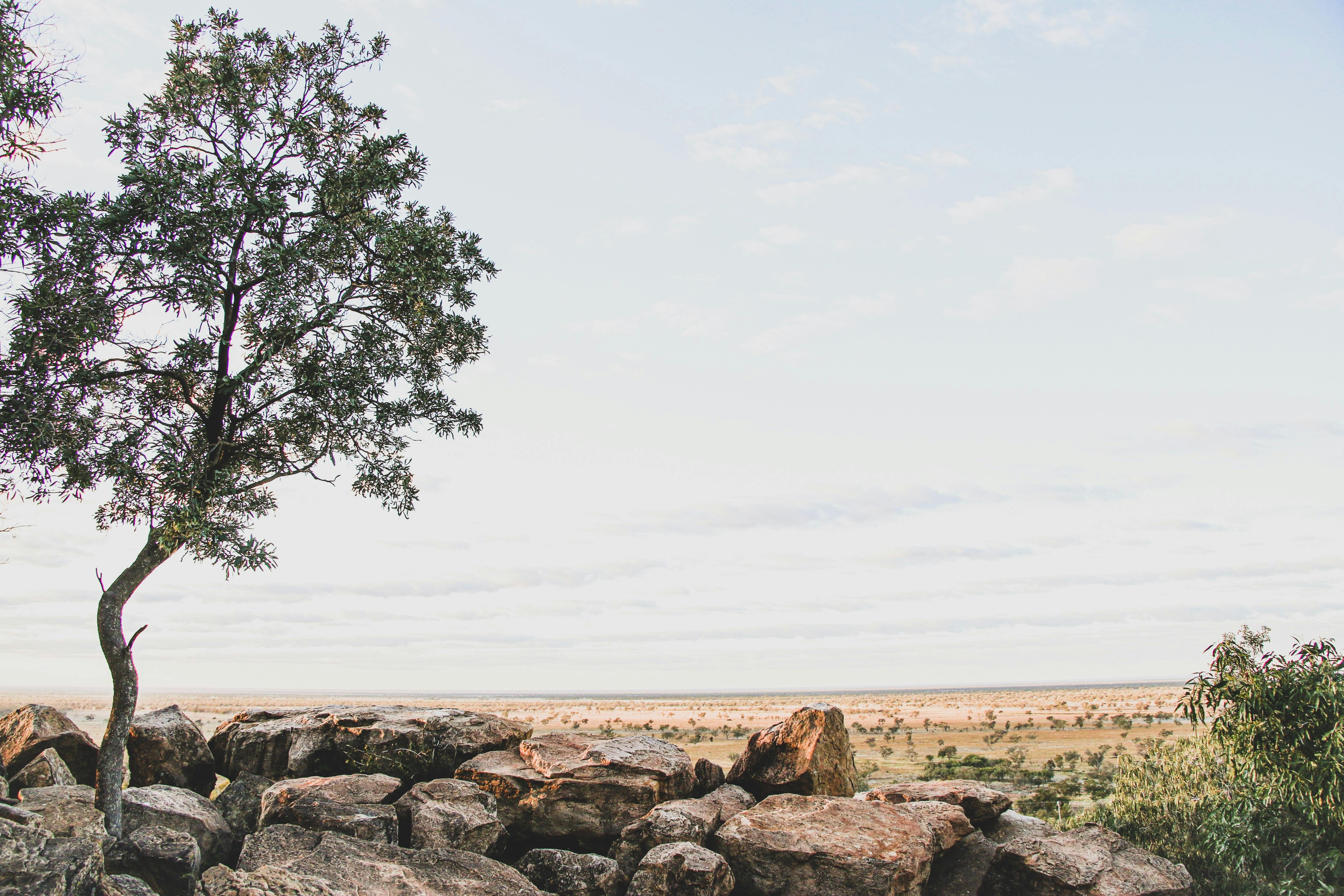 Mount Oxley - Georgia Bragg