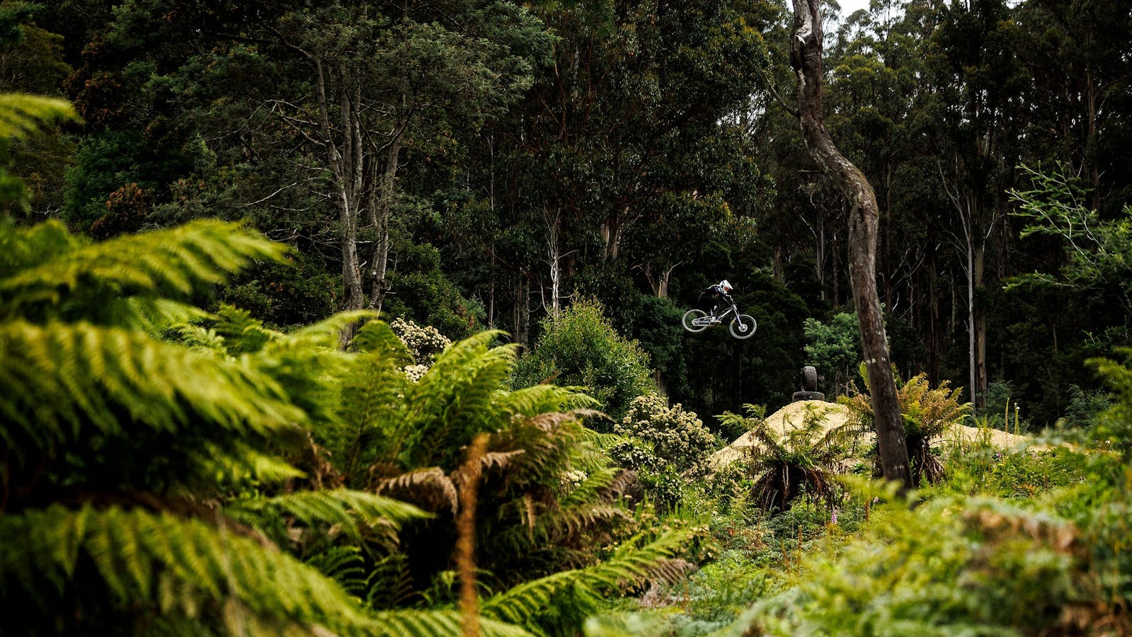 Red Bull Hardline gap jumps at Maydena Bike Park