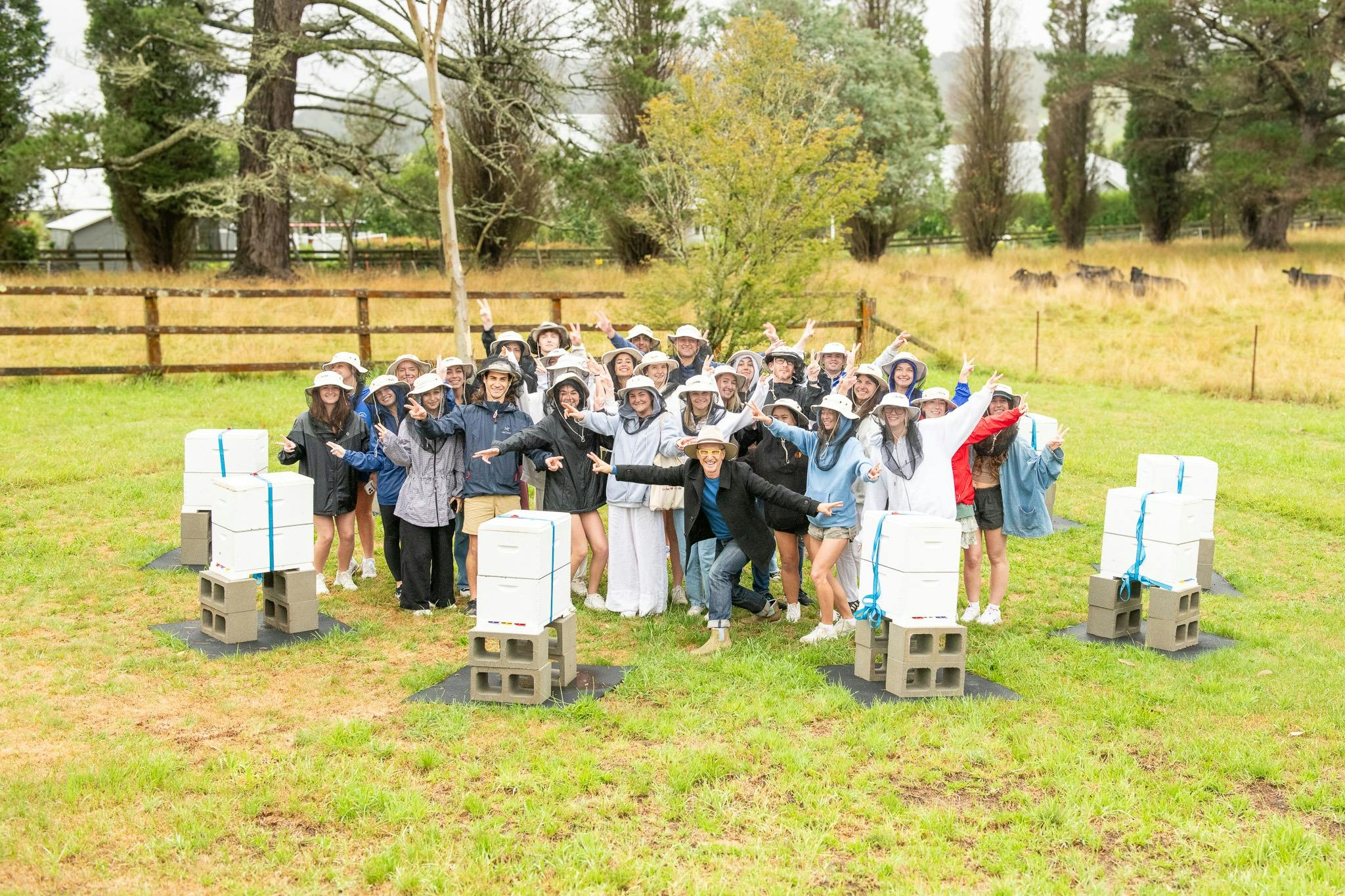 tour amongst the hives