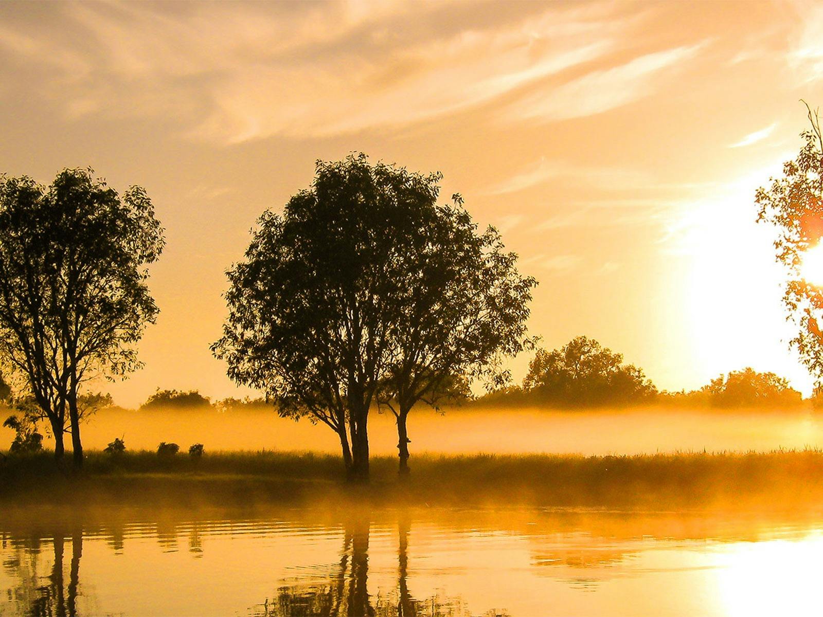 Yellow Water Billabong
