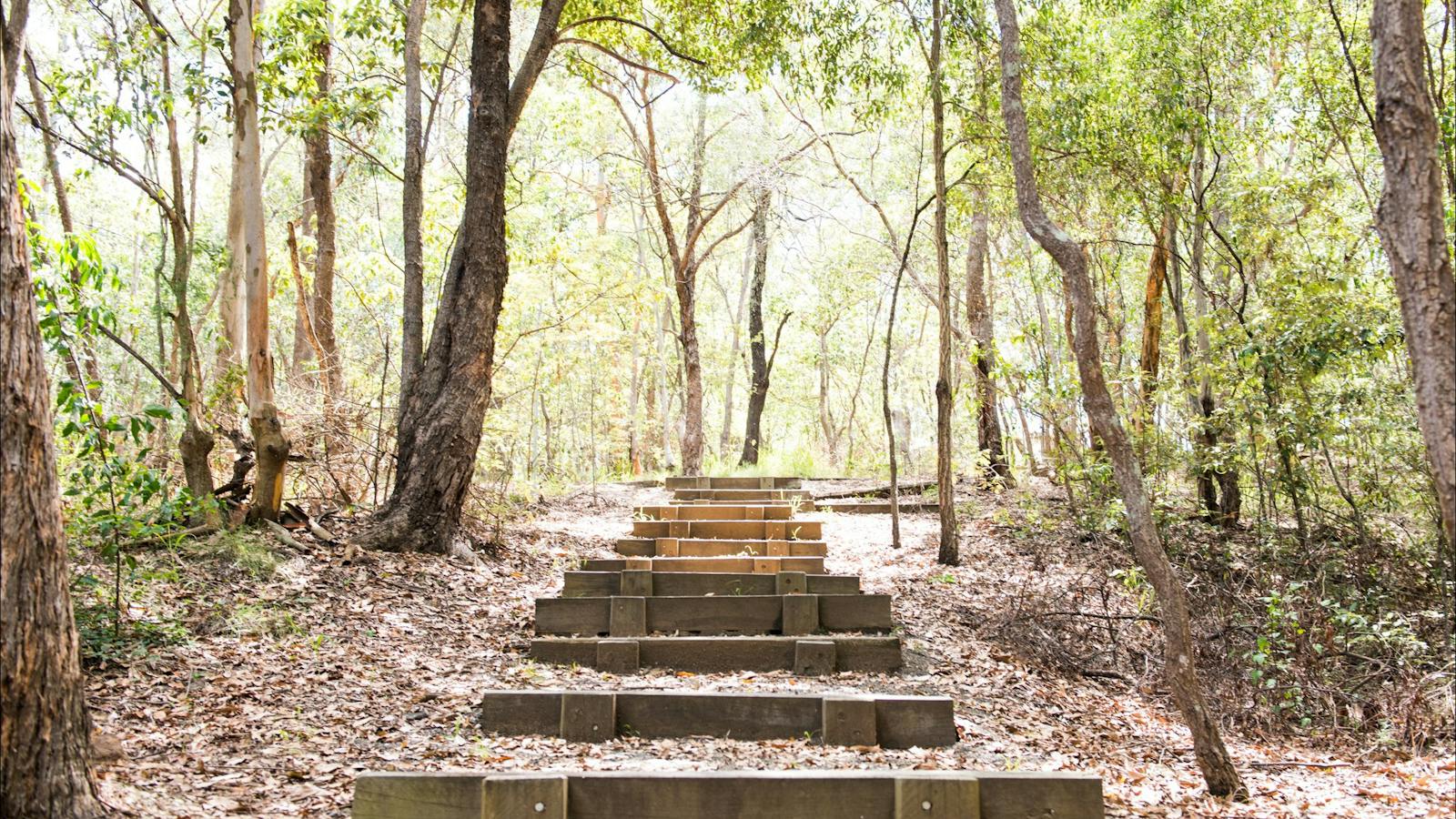 Denmark Hill Conservation Park Trails