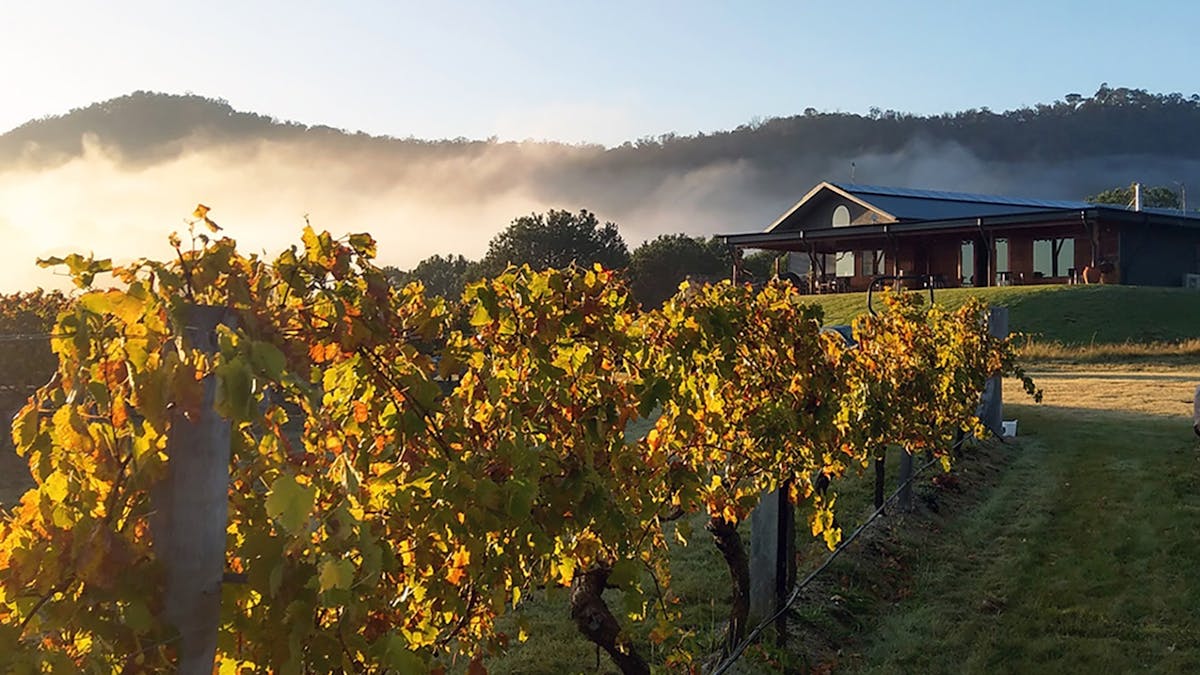Cellar door from the vineyard