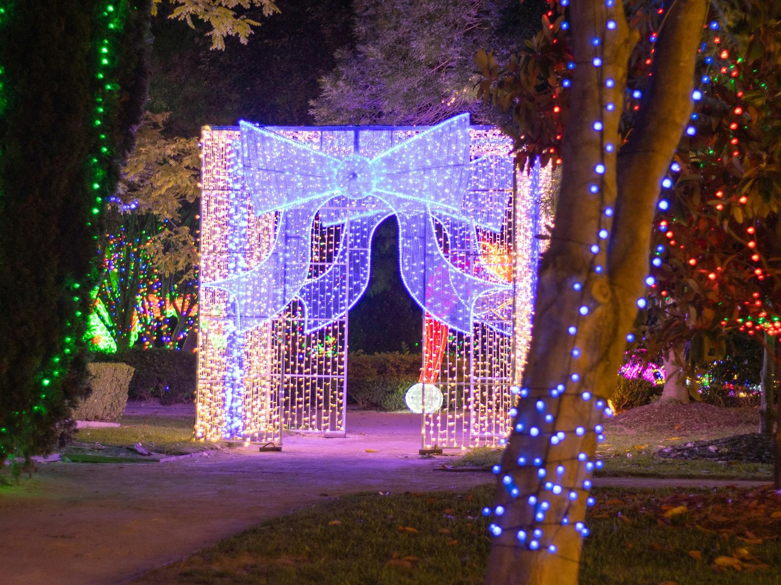 Image for Christmas Lights Spectacular at Hunter Valley Gardens