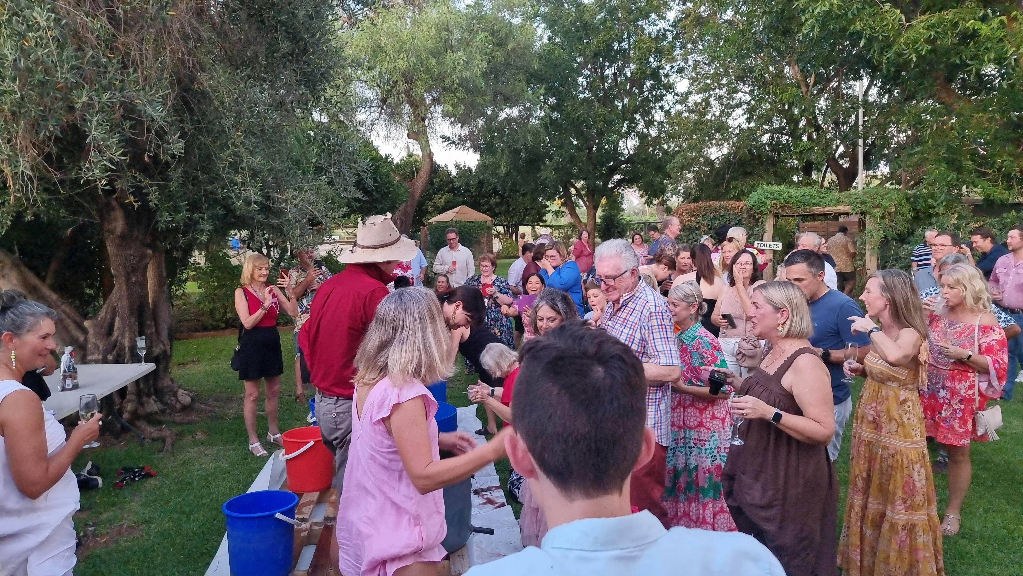 Riversands Long Table in the Vines