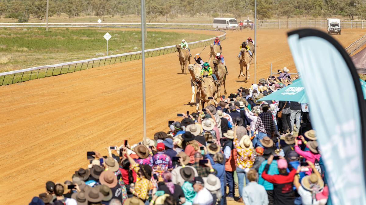 Boulia Camel Races | Events | Queensland