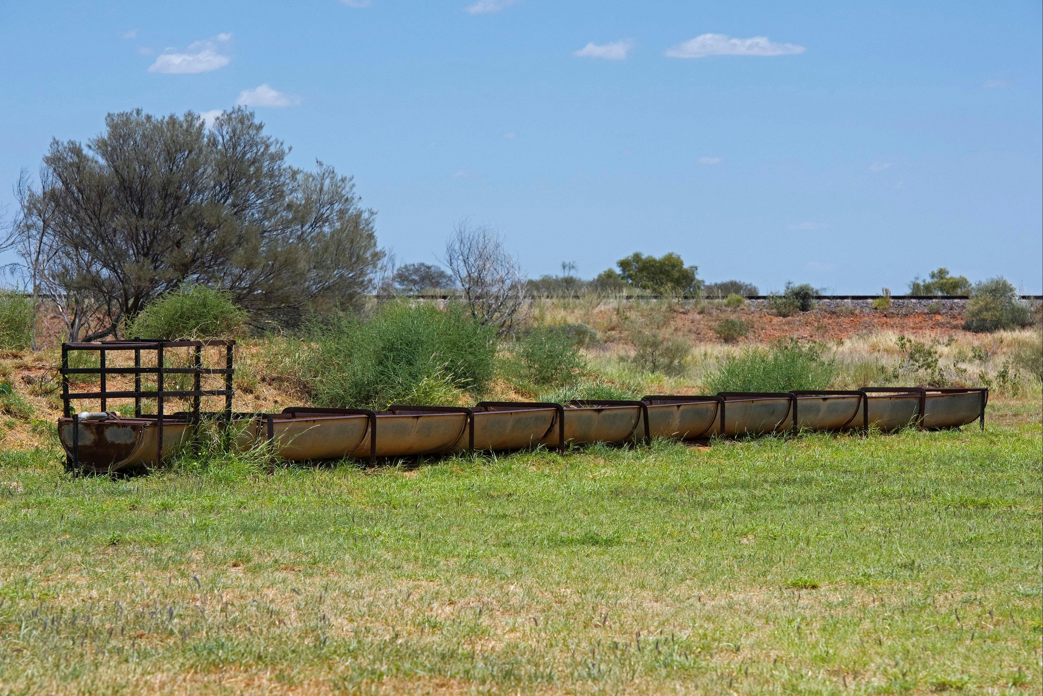 Cattle troughs at Bonney Well