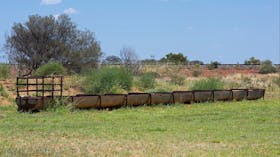 Cattle troughs at Bonney Well