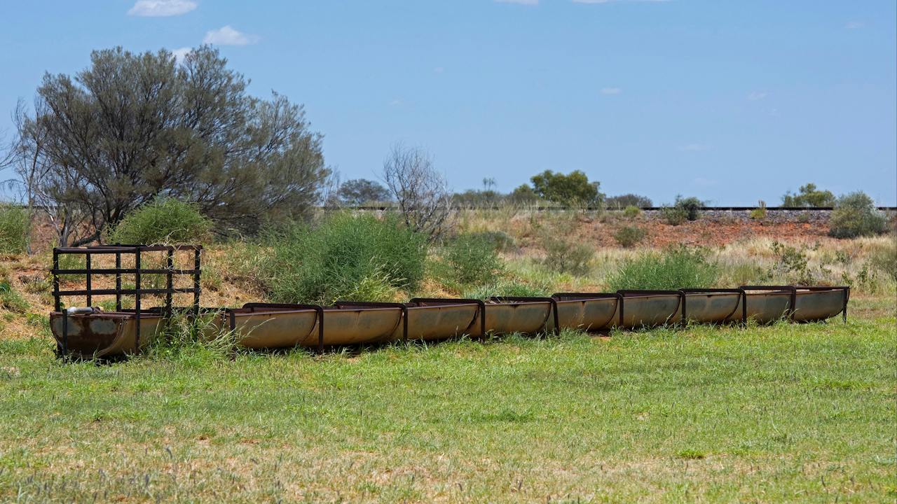 Cattle troughs at Bonney Well