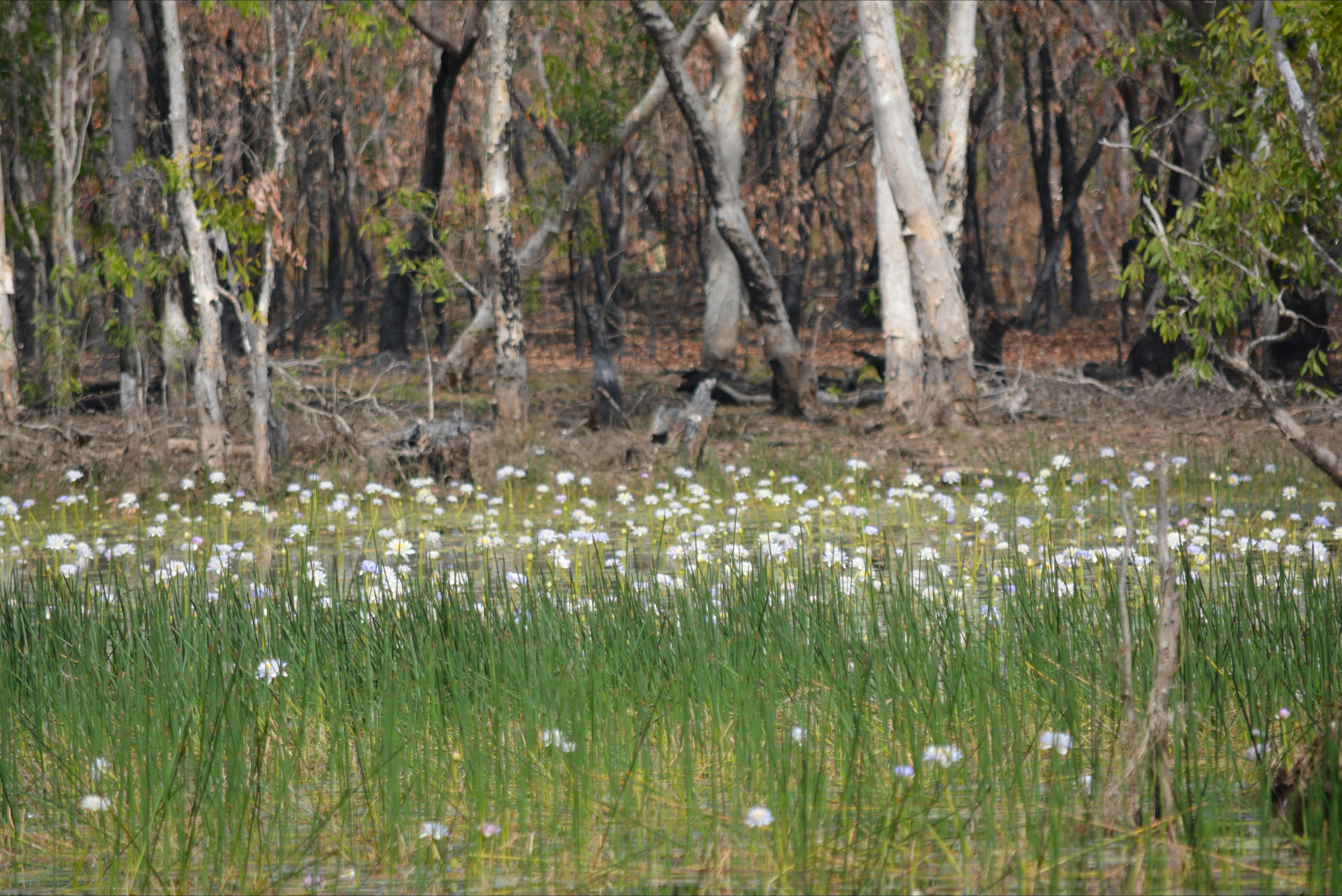 Litchfield National Park, Day tours from Darwin with ethical adventures