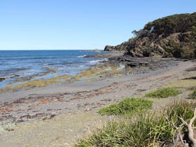 Honeysuckle Beach Walking Track