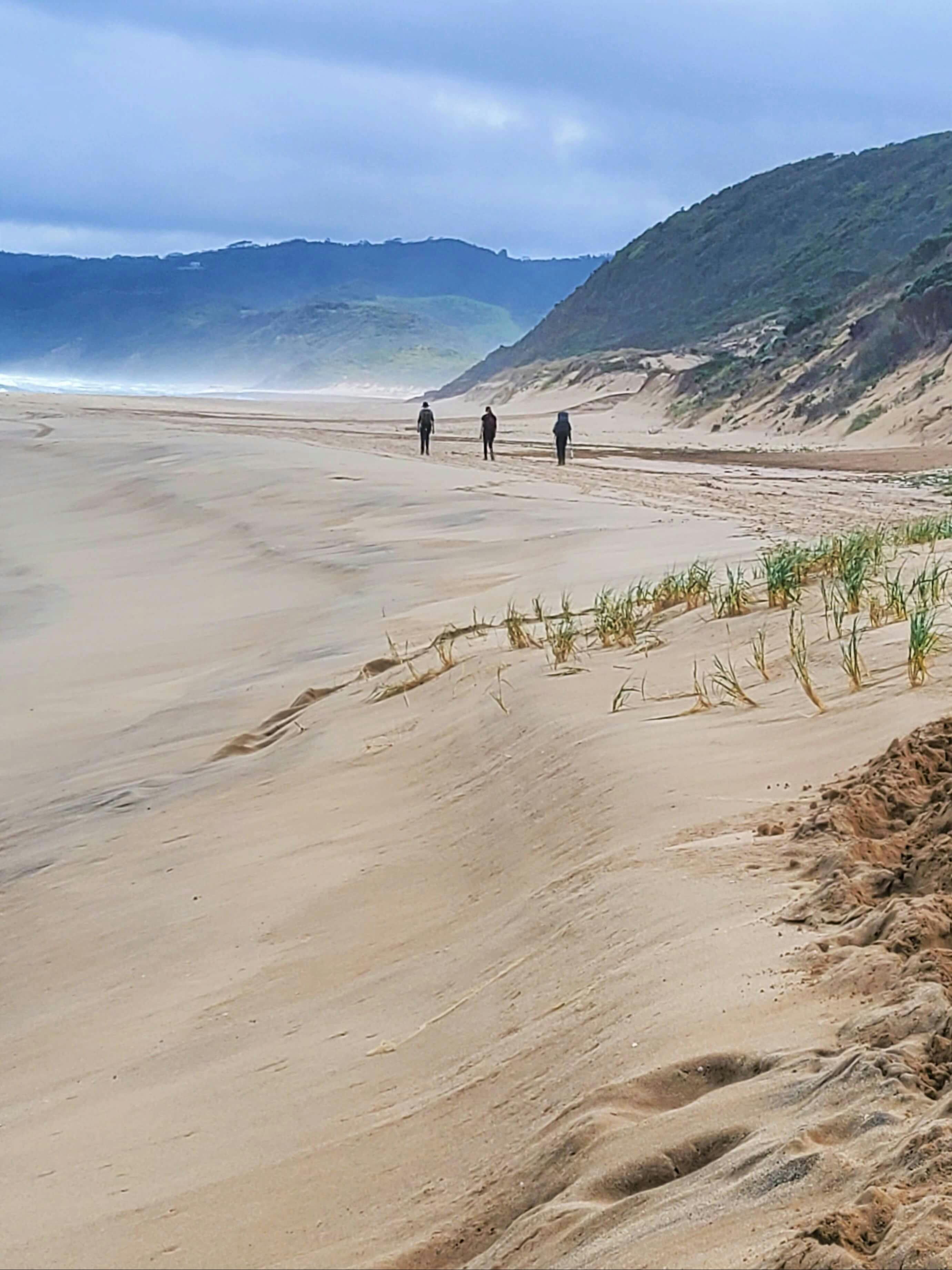 AllTrails Great Ocean Walk Tours