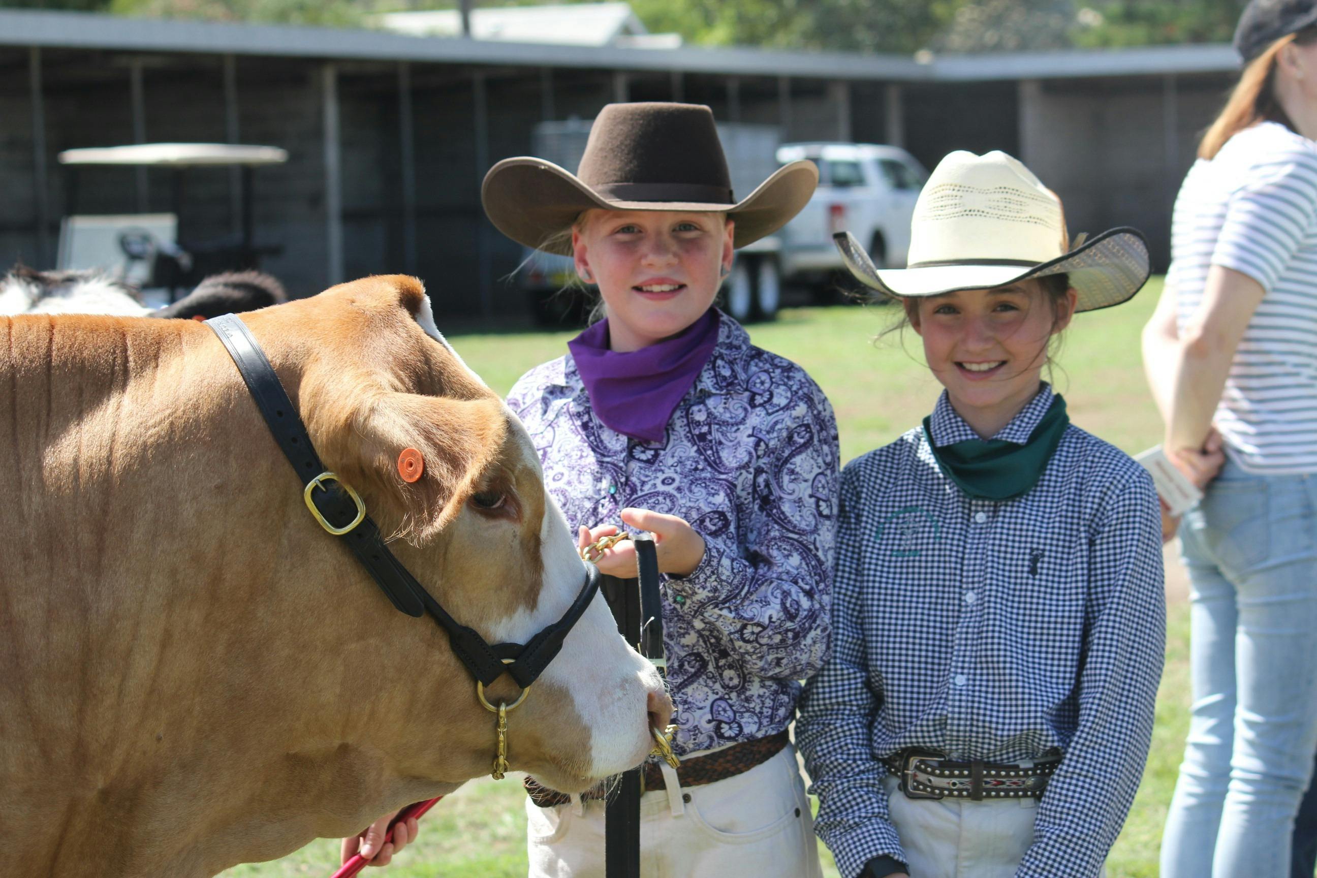 Regional Australia Bank Maitland Show